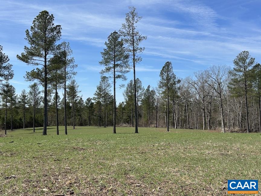 TBD ROLLING RD, CHARLOTTESVILLE, Virginia 22902, ,Farm,Rooks Ford Farm,TBD ROLLING RD,675728 MLS # 675728