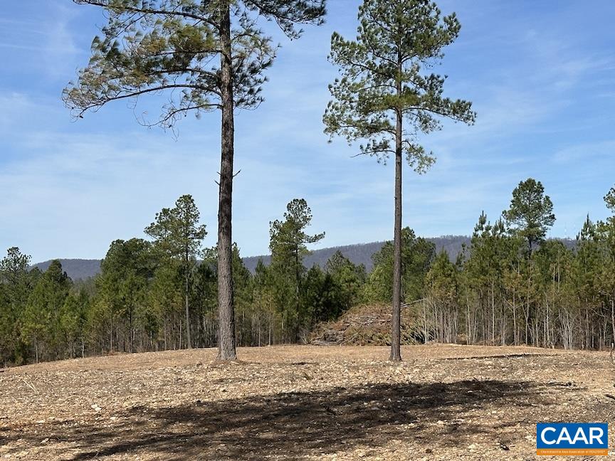 TBD ROLLING RD, CHARLOTTESVILLE, Virginia 22902, ,Farm,Rooks Ford Farm,TBD ROLLING RD,675728 MLS # 675728