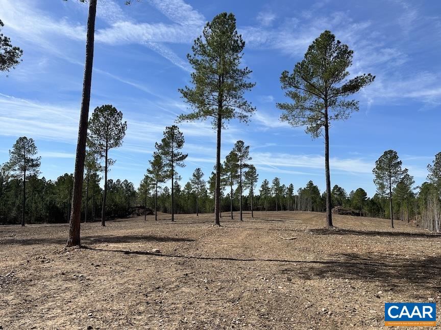 TBD ROLLING RD, CHARLOTTESVILLE, Virginia 22902, ,Farm,Rooks Ford Farm,TBD ROLLING RD,675728 MLS # 675728