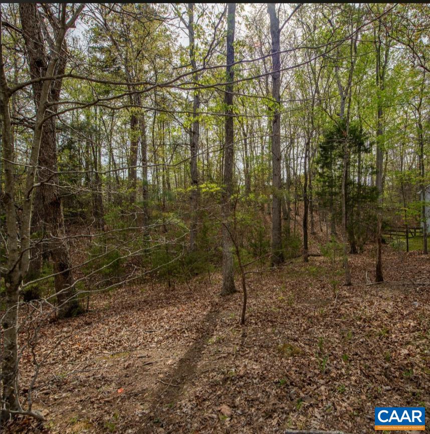 0 TURKEYSAG TRL, PALMYRA, Virginia 22963, ,Land,0 TURKEYSAG TRL,675756 MLS # 675756
