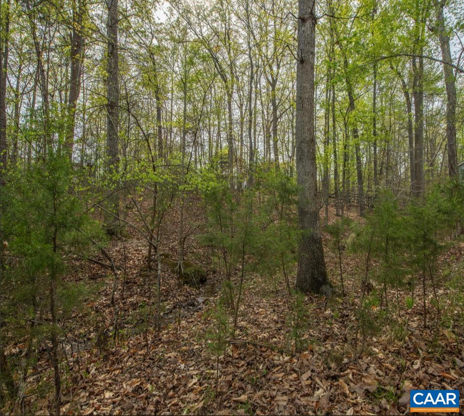 0 TURKEYSAG TRL, PALMYRA, Virginia 22963, ,Land,0 TURKEYSAG TRL,675756 MLS # 675756