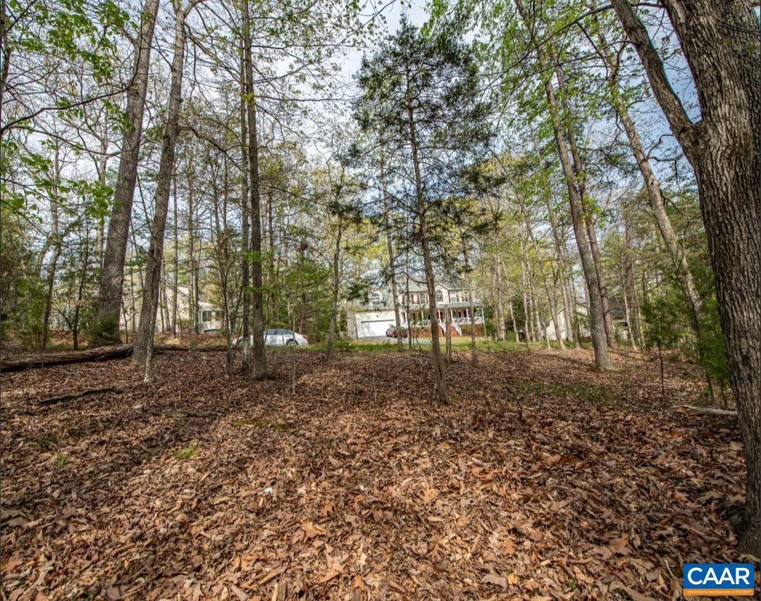 0 TURKEYSAG TRL, PALMYRA, Virginia 22963, ,Land,0 TURKEYSAG TRL,675756 MLS # 675756