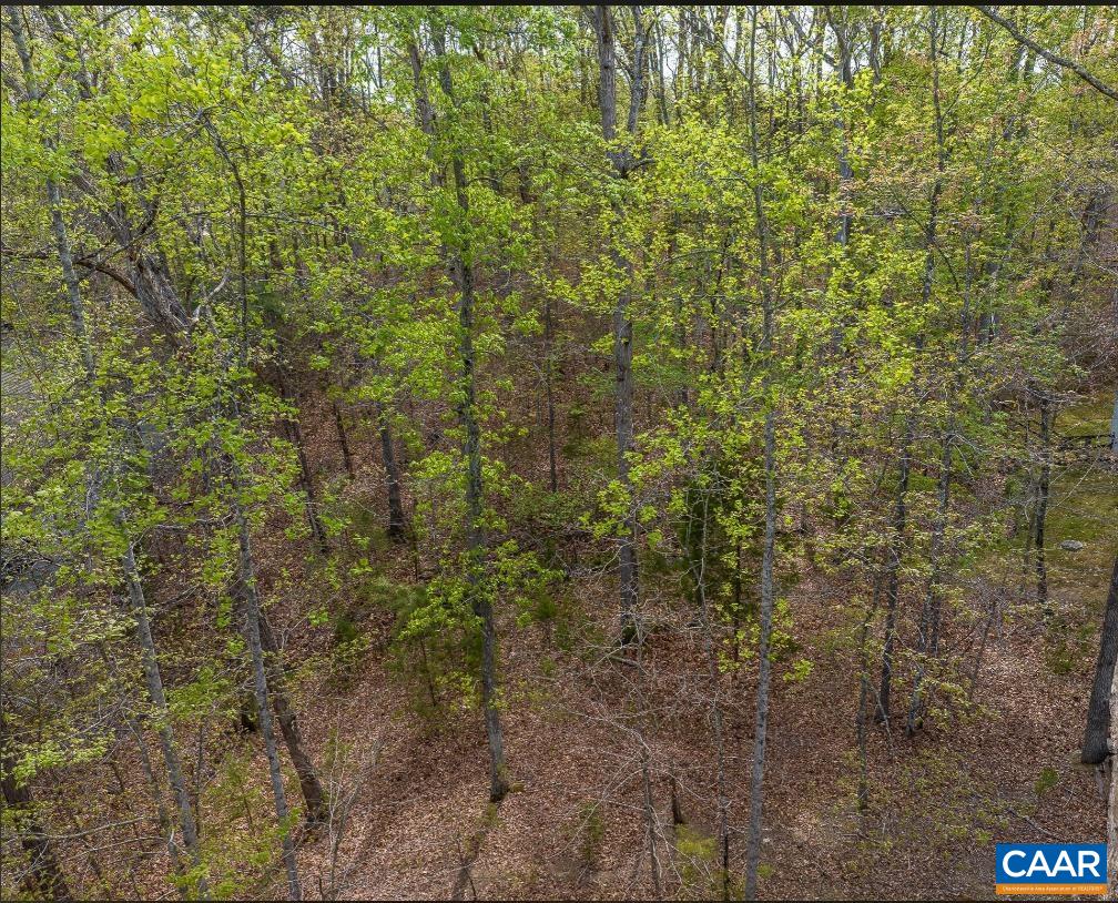 0 TURKEYSAG TRL, PALMYRA, Virginia 22963, ,Land,0 TURKEYSAG TRL,675756 MLS # 675756
