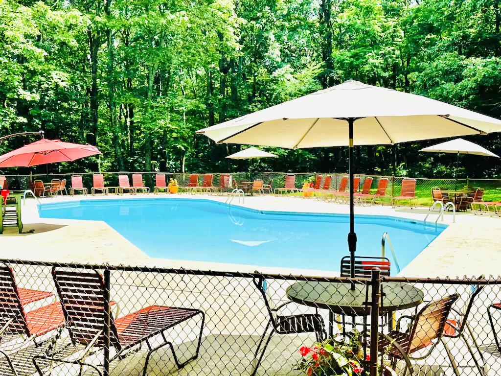 1616 OVERLOOK OLOOK, ROSELAND, Virginia 22967, 2 Bedrooms Bedrooms, ,2 BathroomsBathrooms,Residential,Overlook Condos,1616 OVERLOOK OLOOK,VANL2000652 MLS # VANL2000652