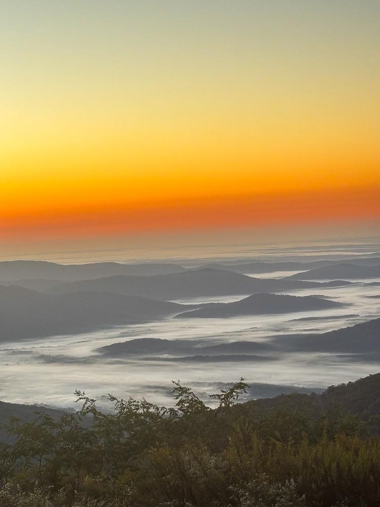 1616 OVERLOOK OLOOK, ROSELAND, Virginia 22967, 2 Bedrooms Bedrooms, ,2 BathroomsBathrooms,Residential,Overlook Condos,1616 OVERLOOK OLOOK,VANL2000652 MLS # VANL2000652