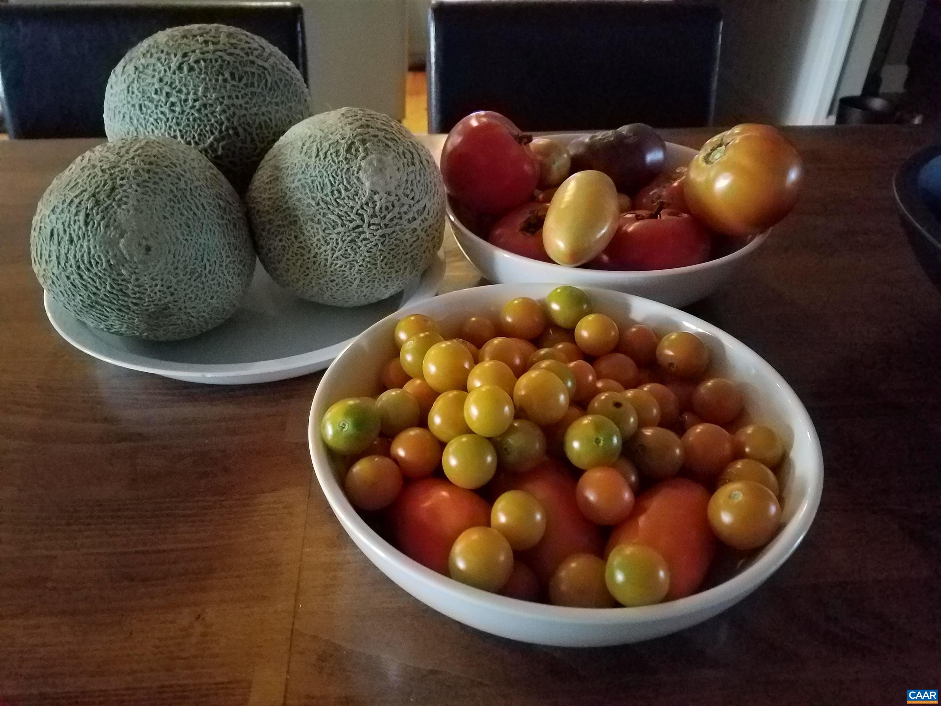 3505 SARAH DR, CHARLOTTESVILLE, Virginia 22911, 4 Bedrooms Bedrooms, ,3 BathroomsBathrooms,Residential,3505 SARAH DR,675558 MLS # 675558