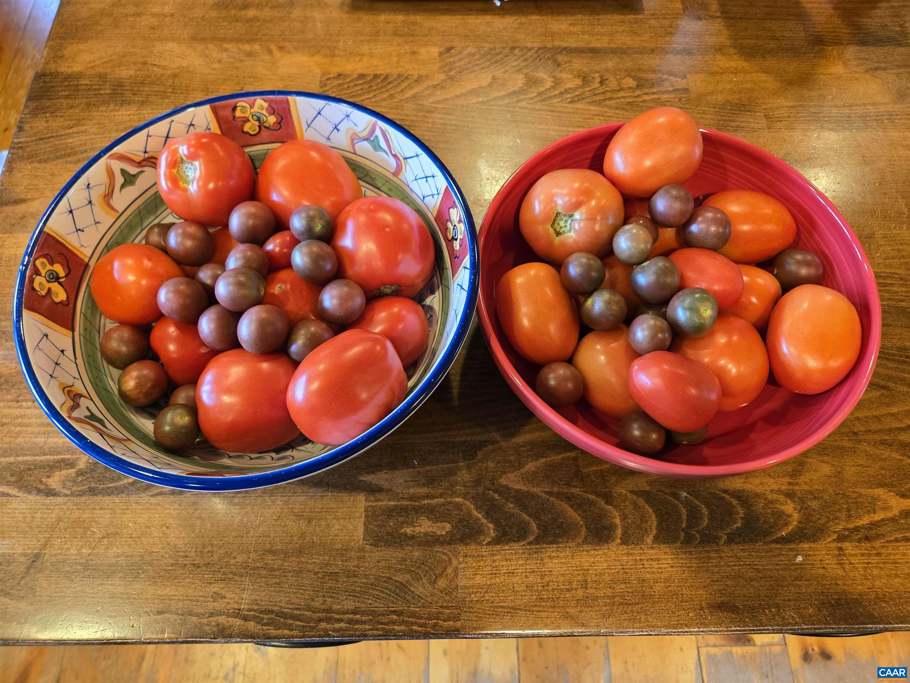 3505 SARAH DR, CHARLOTTESVILLE, Virginia 22911, 4 Bedrooms Bedrooms, ,3 BathroomsBathrooms,Residential,3505 SARAH DR,675558 MLS # 675558