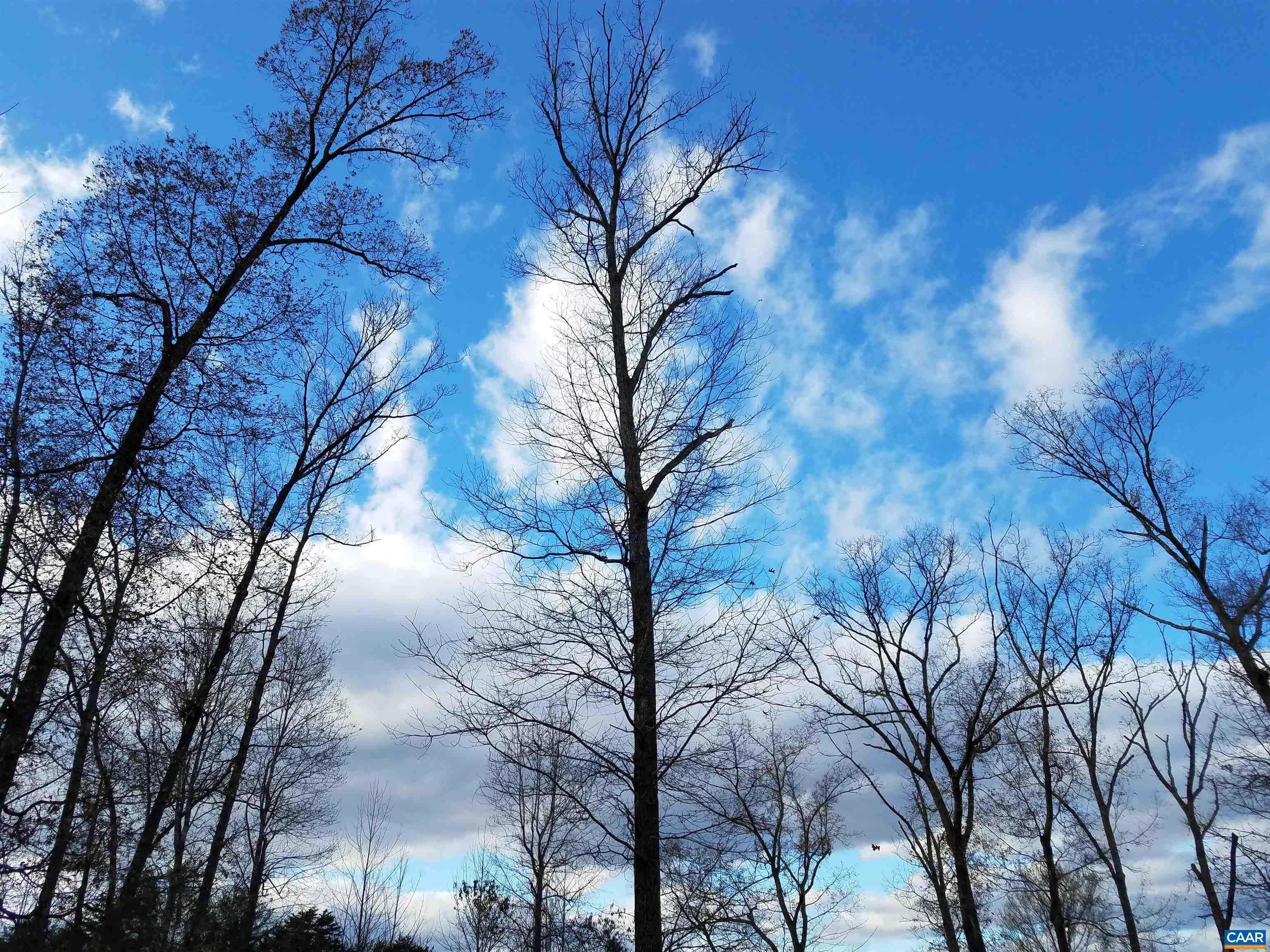 3505 SARAH DR, CHARLOTTESVILLE, Virginia 22911, 4 Bedrooms Bedrooms, ,3 BathroomsBathrooms,Residential,3505 SARAH DR,675558 MLS # 675558