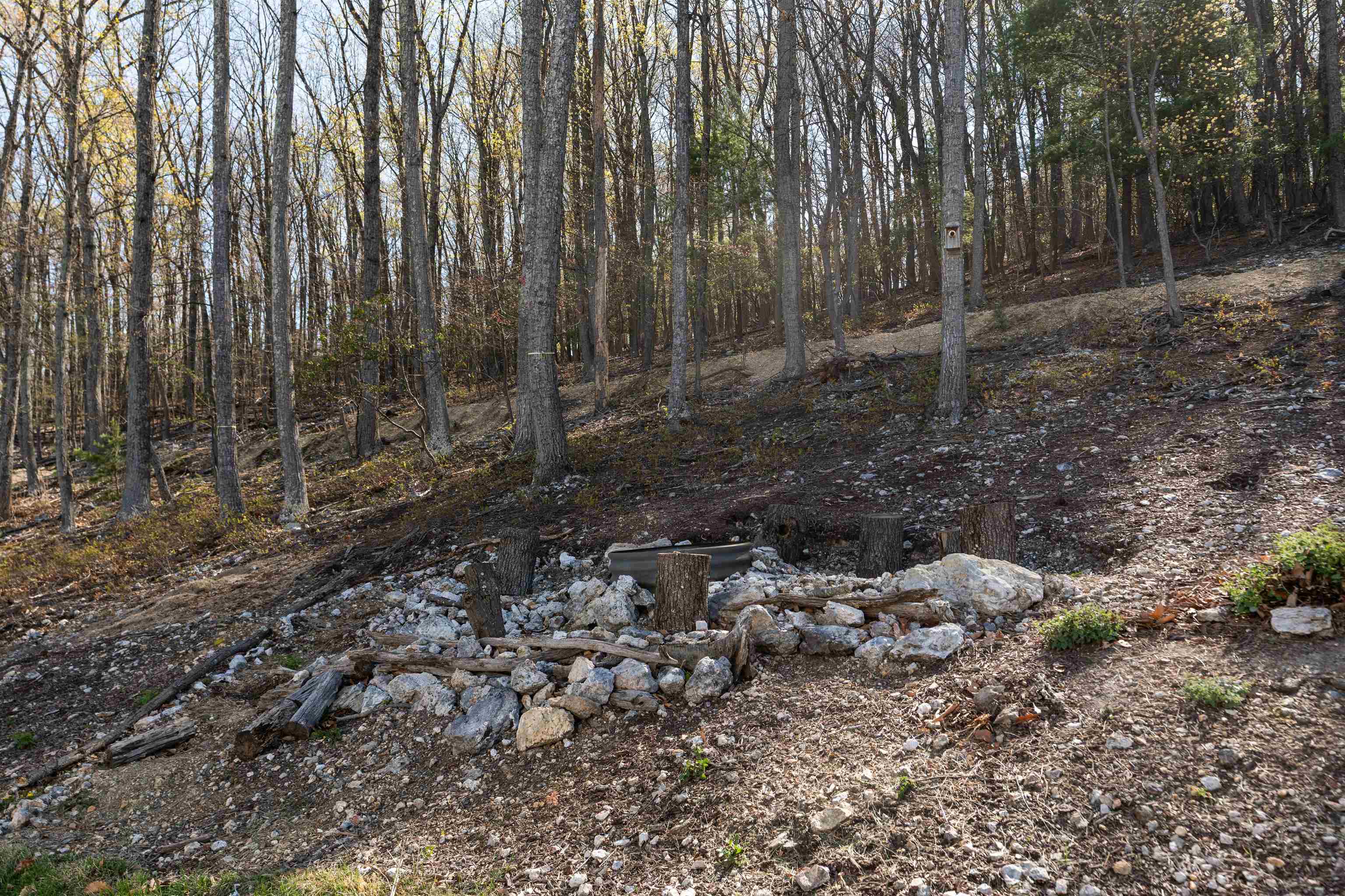 418 CAMPBELL ST, STAUNTON, Virginia 24401, 4 Bedrooms Bedrooms, ,3 BathroomsBathrooms,Residential,418 CAMPBELL ST,675730 MLS # 675730