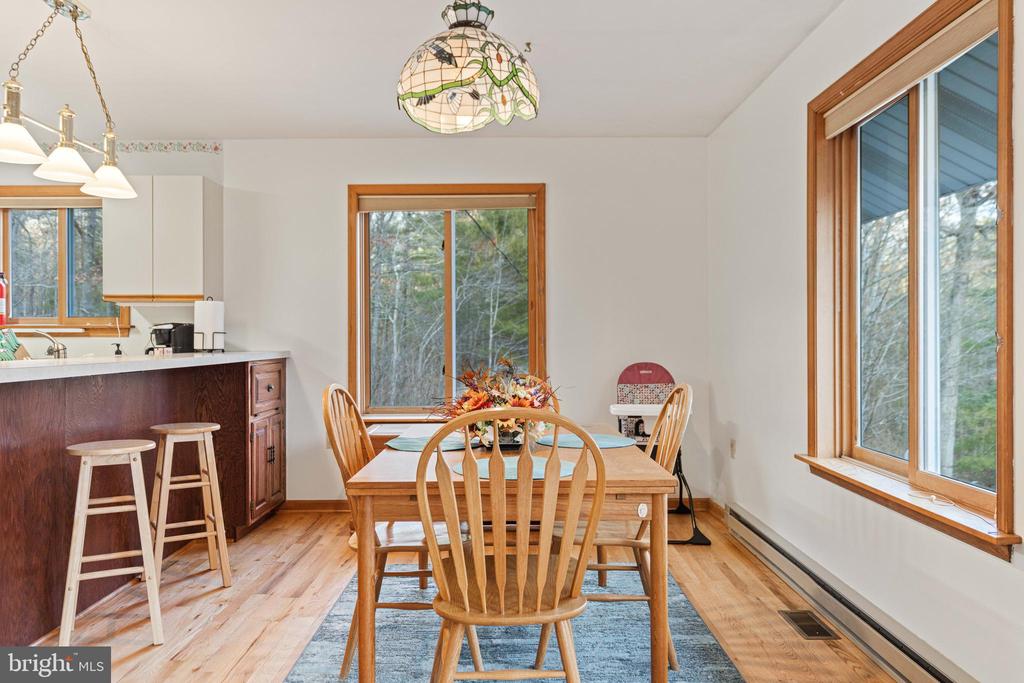 1131 PAGE VALLEY RD, LURAY, Virginia 22835, 3 Bedrooms Bedrooms, ,2 BathroomsBathrooms,Residential,1131 PAGE VALLEY RD,VAPA2006244 MLS # VAPA2006244