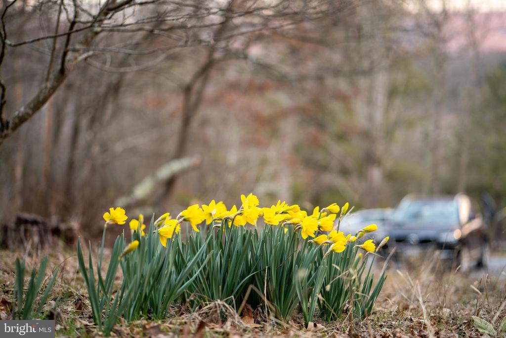 1131 PAGE VALLEY RD, LURAY, Virginia 22835, 3 Bedrooms Bedrooms, ,2 BathroomsBathrooms,Residential,1131 PAGE VALLEY RD,VAPA2006244 MLS # VAPA2006244