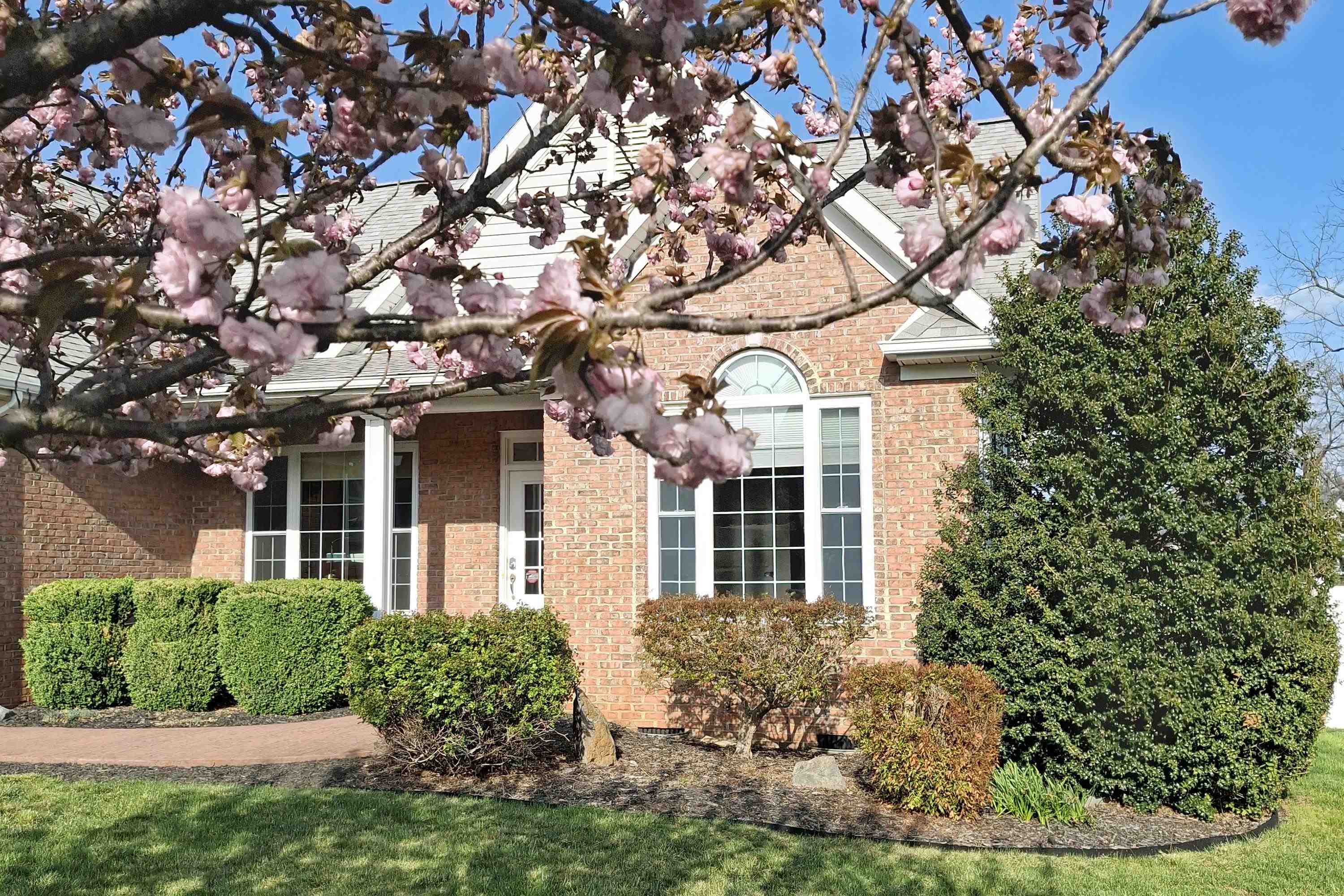 4320 WILTSHIRE ST, ROCKINGHAM, Virginia 22802, 4 Bedrooms Bedrooms, ,3 BathroomsBathrooms,Residential,4320 WILTSHIRE ST,675762 MLS # 675762 4320 WILTSHIRE ST, ROCKINGHAM, Virginia 22802, 4 Bedrooms Bedrooms, ,3 BathroomsBathrooms,Residential,4320 WILTSHIRE ST,675762 MLS # 675762