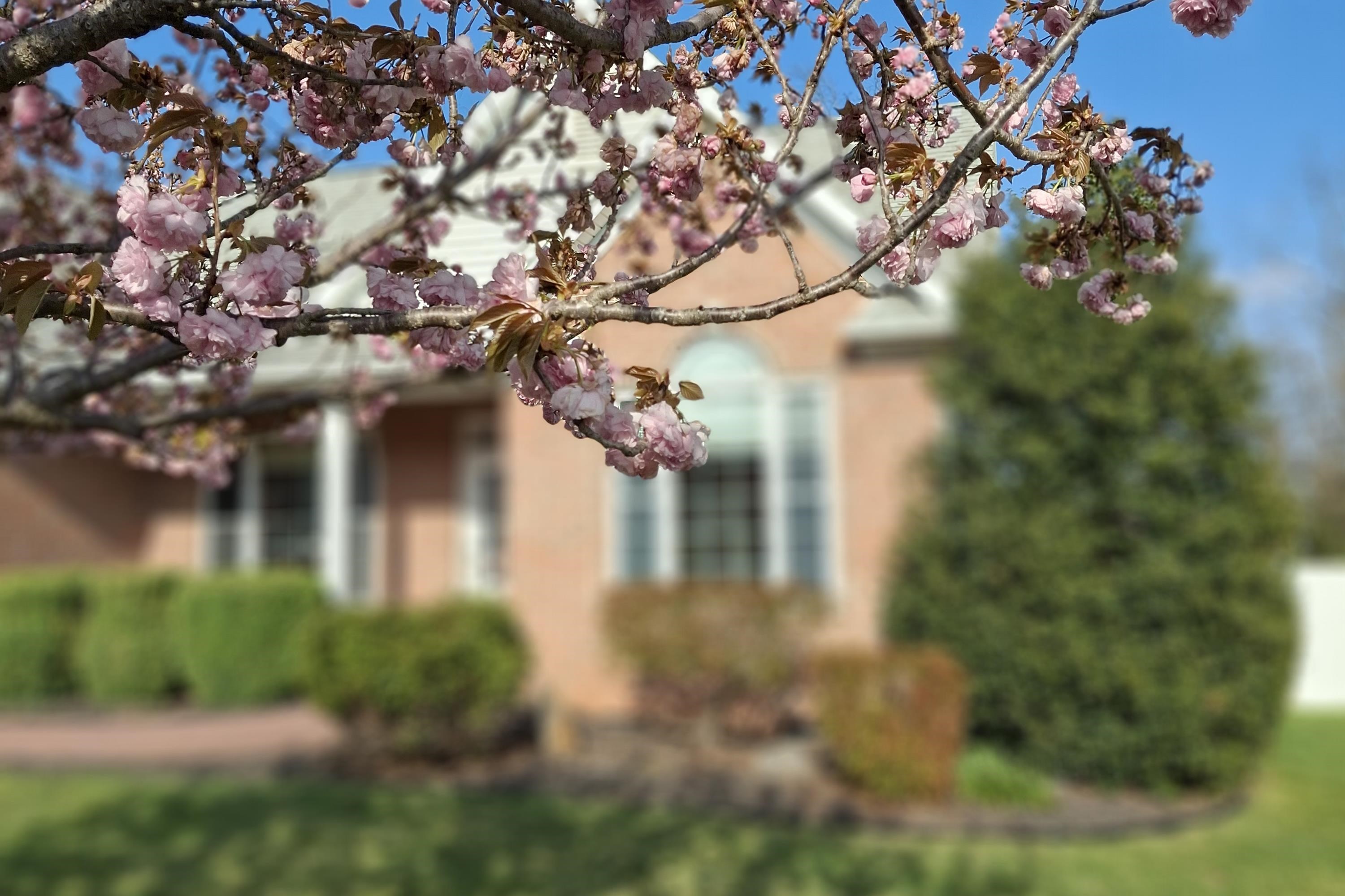 4320 WILTSHIRE ST, ROCKINGHAM, Virginia 22802, 4 Bedrooms Bedrooms, ,3 BathroomsBathrooms,Residential,4320 WILTSHIRE ST,675762 MLS # 675762 4320 WILTSHIRE ST, ROCKINGHAM, Virginia 22802, 4 Bedrooms Bedrooms, ,3 BathroomsBathrooms,Residential,4320 WILTSHIRE ST,675762 MLS # 675762