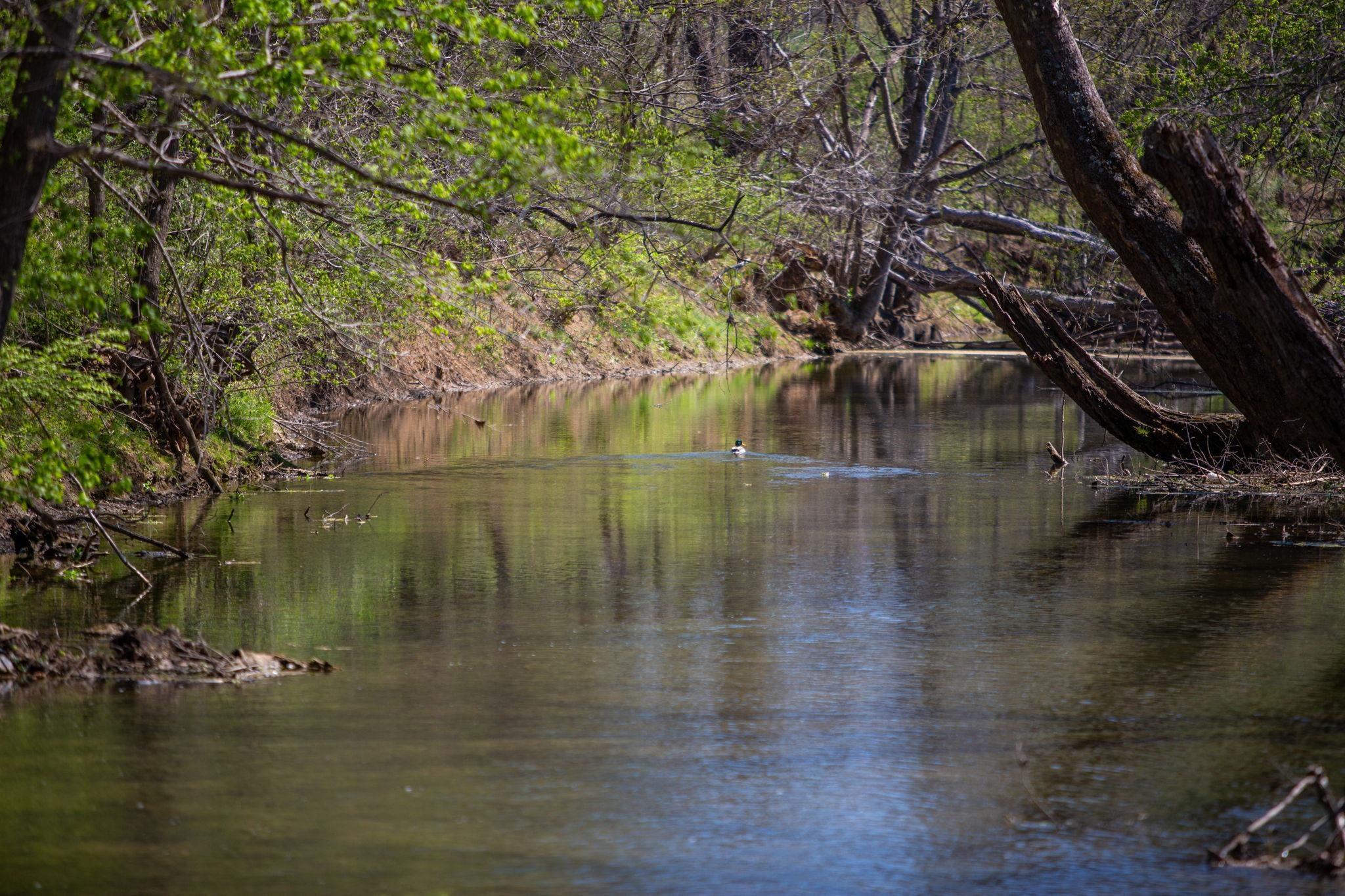 13004 INDIAN TRAIL RD, BROADWAY, Virginia 22815, 3 Bedrooms Bedrooms, ,2 BathroomsBathrooms,Residential,13004 INDIAN TRAIL RD,675774 MLS # 675774