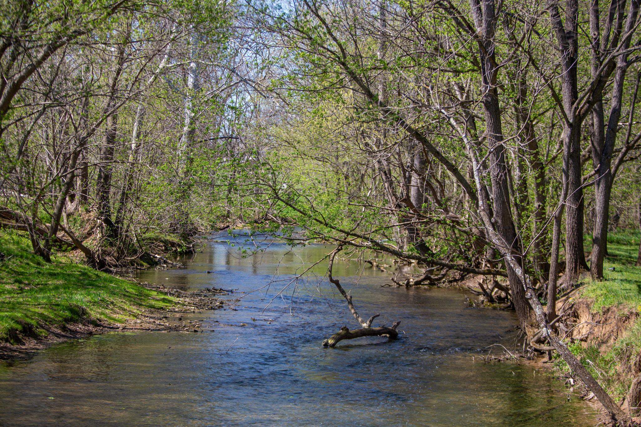 on the property and borders the whole side south to east.