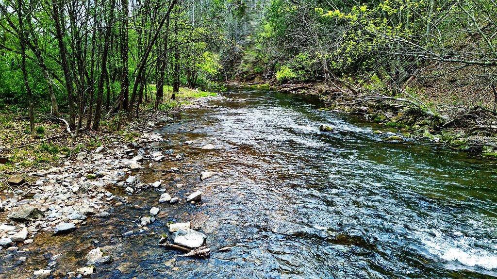 298 HUNDLEY DISTILLERY RD, CHURCHVILLE, Virginia 24421, 3 Bedrooms Bedrooms, ,2 BathroomsBathrooms,Residential,298 HUNDLEY DISTILLERY RD,675780 MLS # 675780