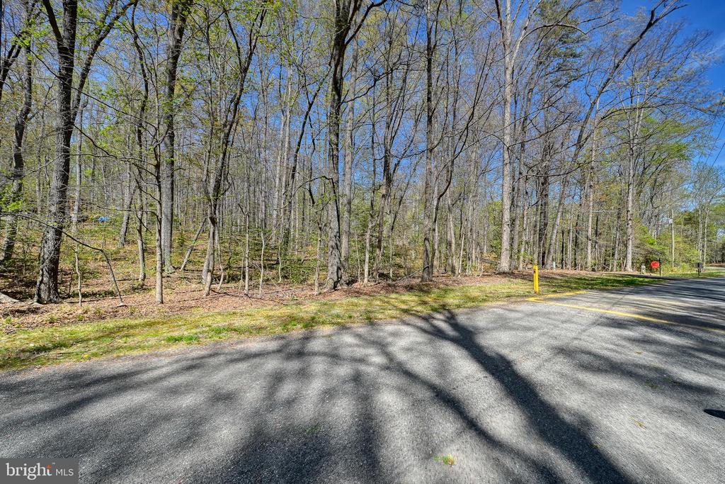 LAKEWOOD CIRCLE, MINERAL, Virginia 23117, ,Land,LAKEWOOD CIRCLE,VALA2009638 MLS # VALA2009638