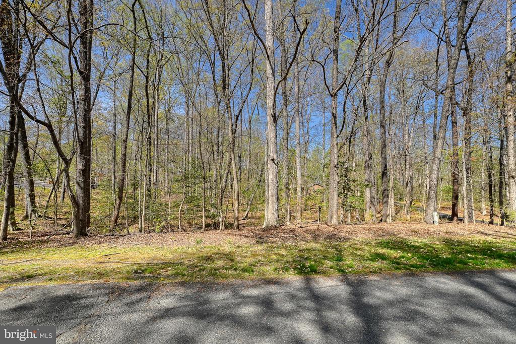 LAKEWOOD CIRCLE, MINERAL, Virginia 23117, ,Land,LAKEWOOD CIRCLE,VALA2009638 MLS # VALA2009638