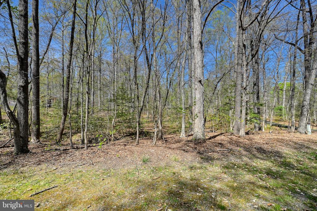 LAKEWOOD CIRCLE, MINERAL, Virginia 23117, ,Land,LAKEWOOD CIRCLE,VALA2009638 MLS # VALA2009638