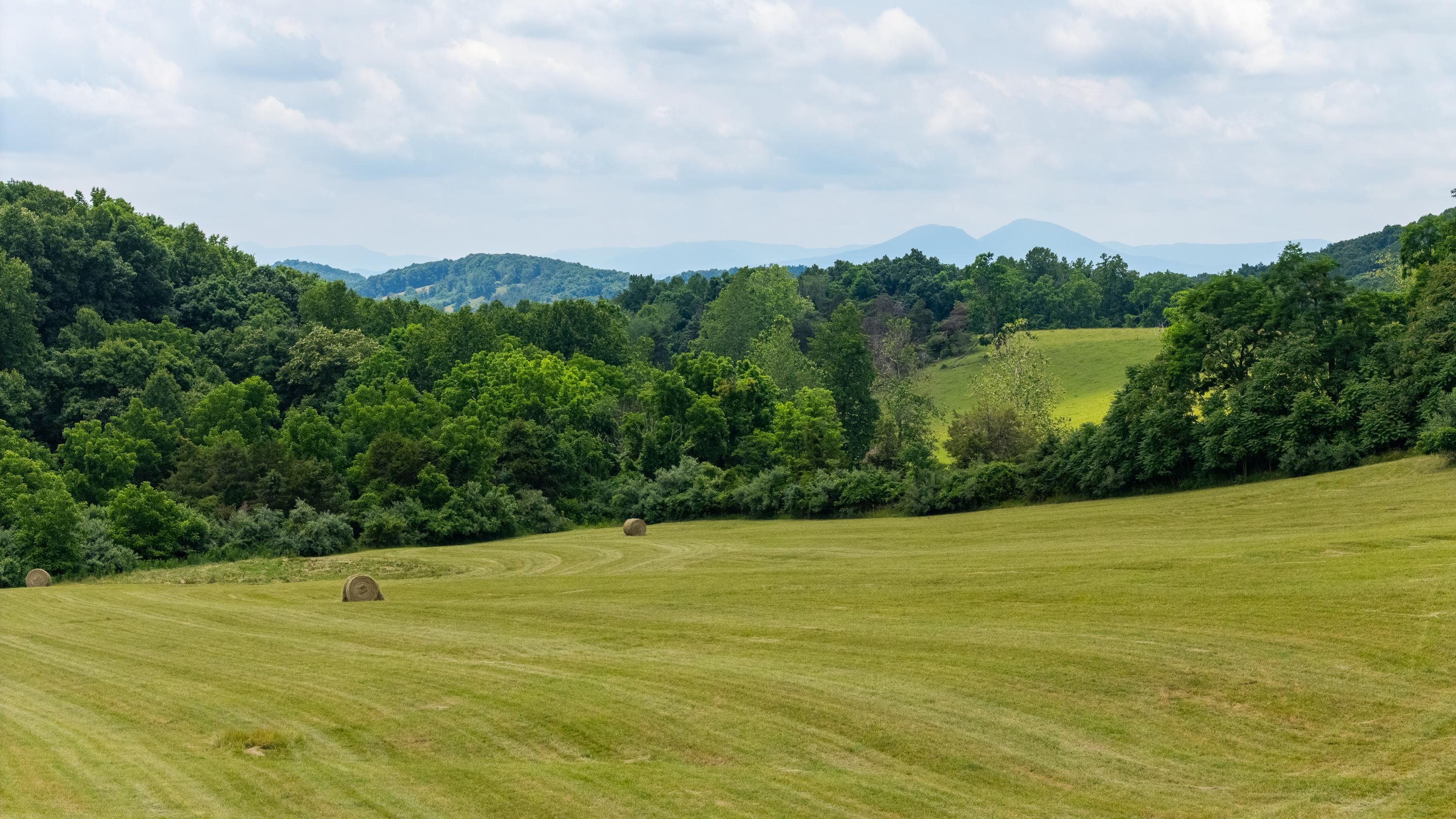 25 KOOGLER TRL, RAPHINE, Virginia 24472, ,Land,25 KOOGLER TRL,675815 MLS # 675815