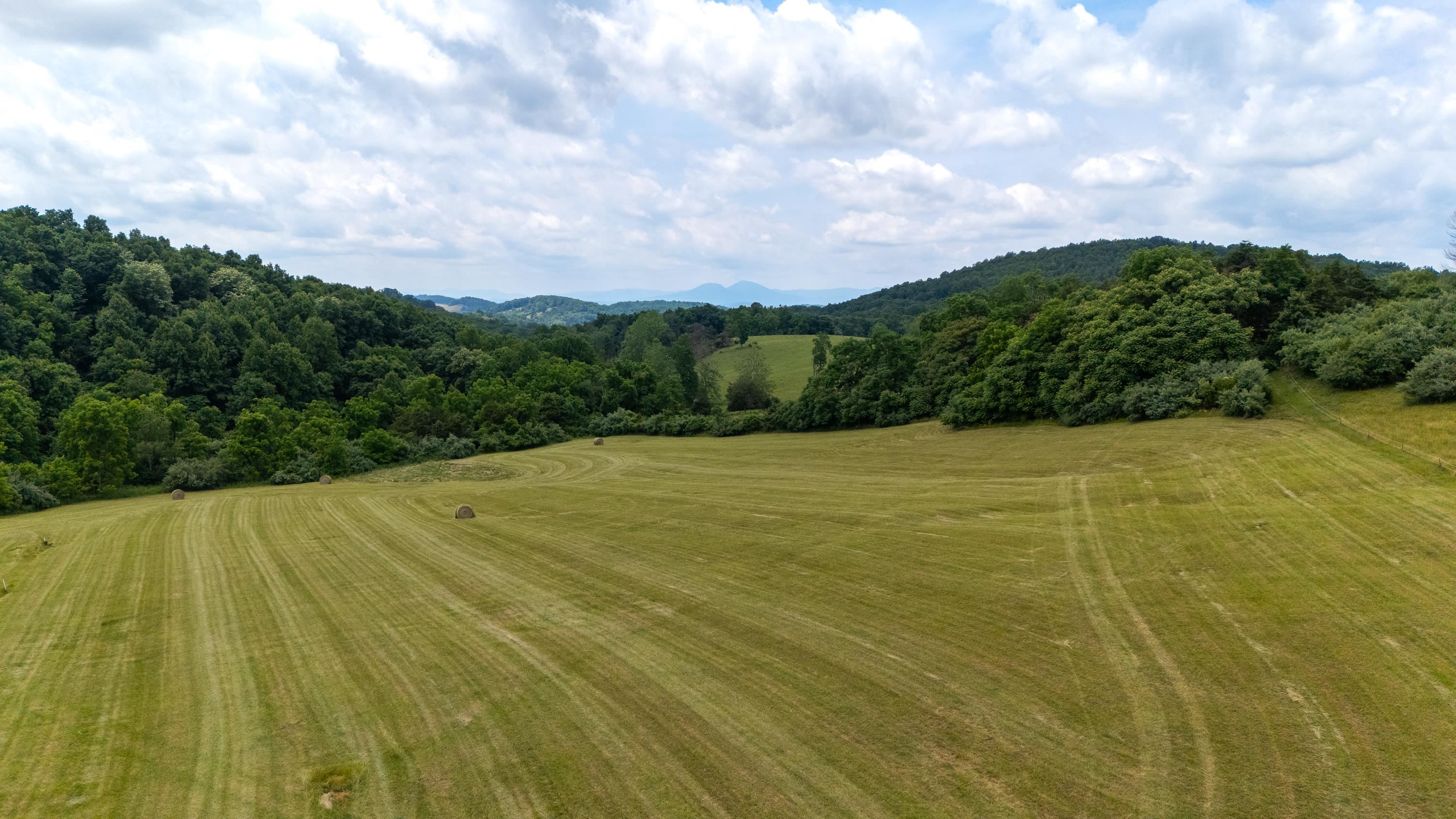 25 KOOGLER TRL, RAPHINE, Virginia 24472, ,Land,25 KOOGLER TRL,675815 MLS # 675815