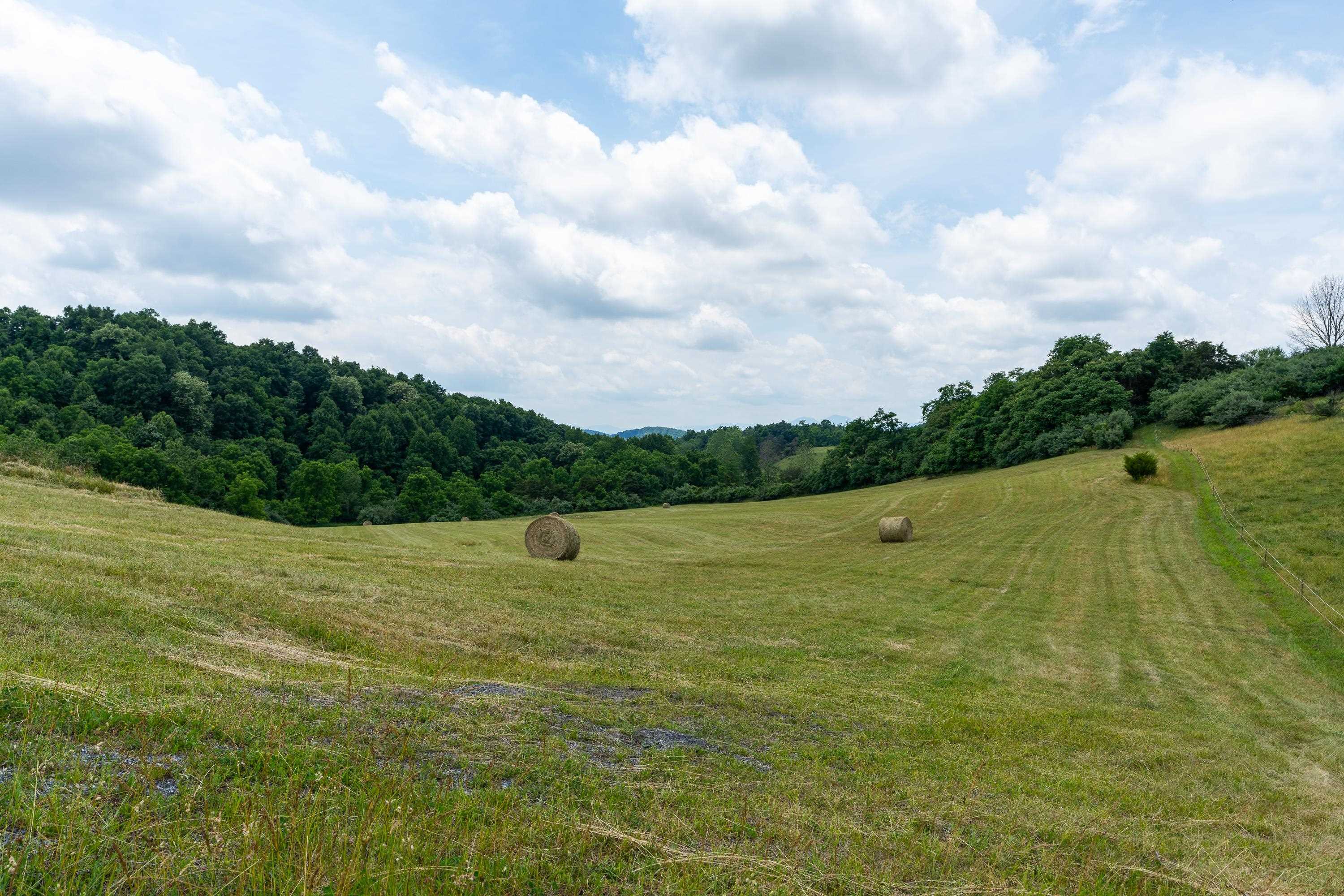 25 KOOGLER TRL, RAPHINE, Virginia 24472, ,Land,25 KOOGLER TRL,675815 MLS # 675815