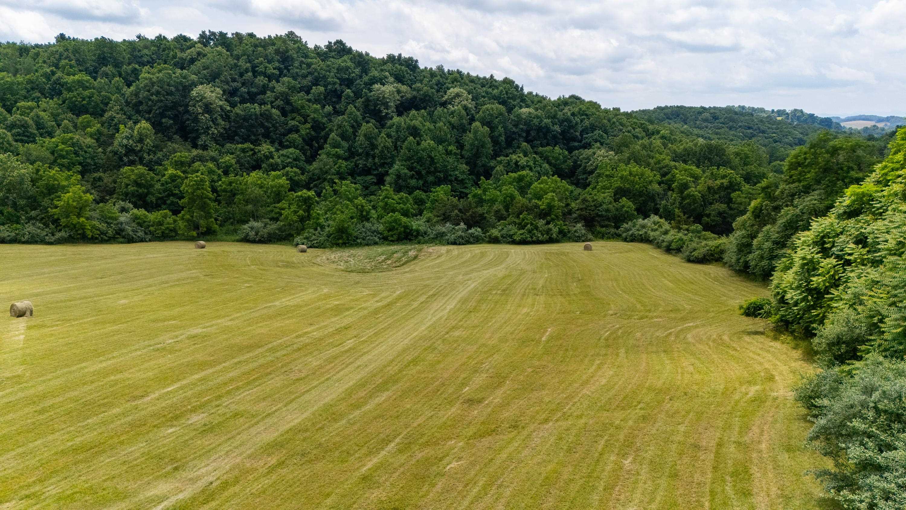 25 KOOGLER TRL, RAPHINE, Virginia 24472, ,Land,25 KOOGLER TRL,675815 MLS # 675815