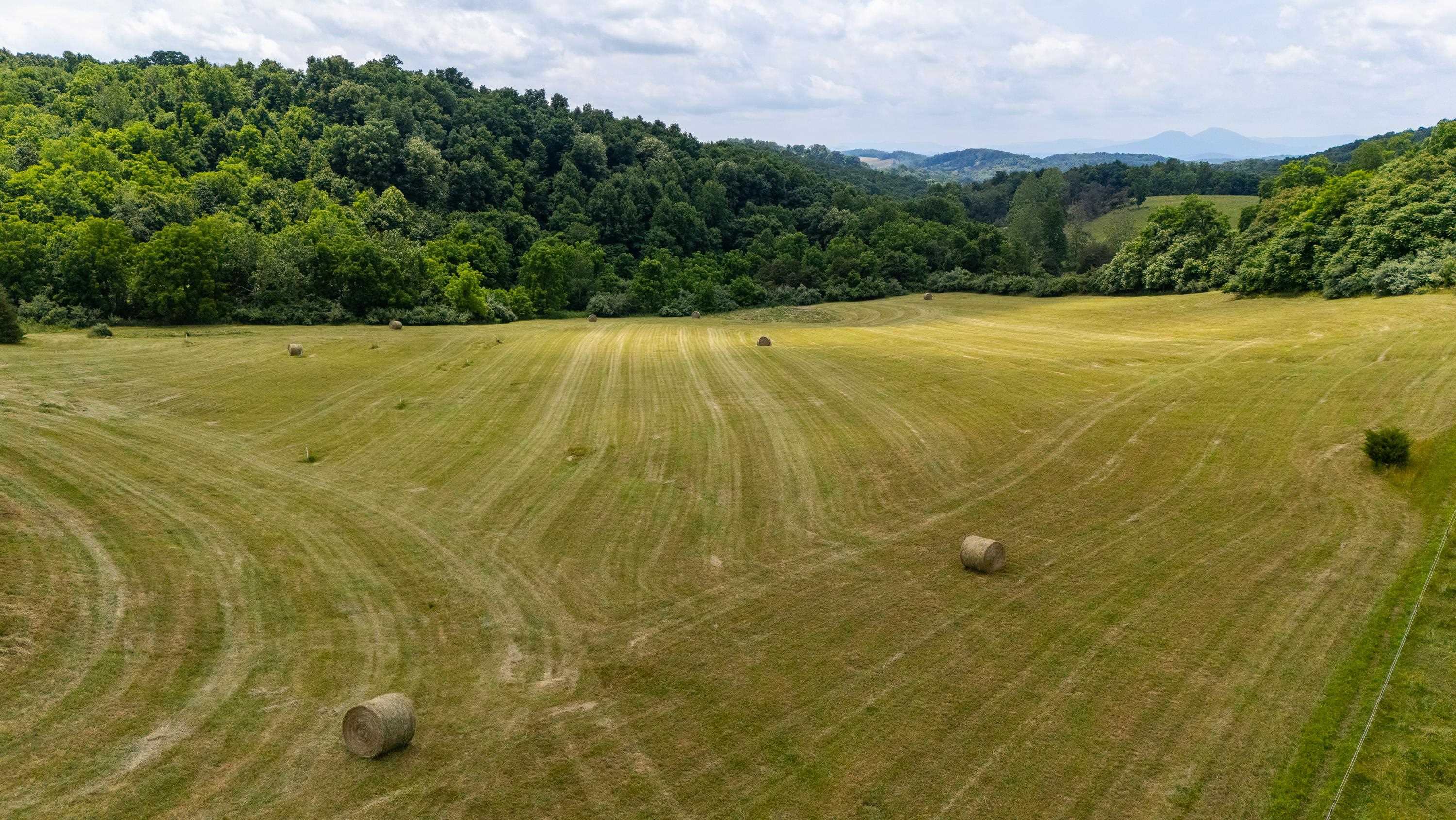 25 KOOGLER TRL, RAPHINE, Virginia 24472, ,Land,25 KOOGLER TRL,675815 MLS # 675815