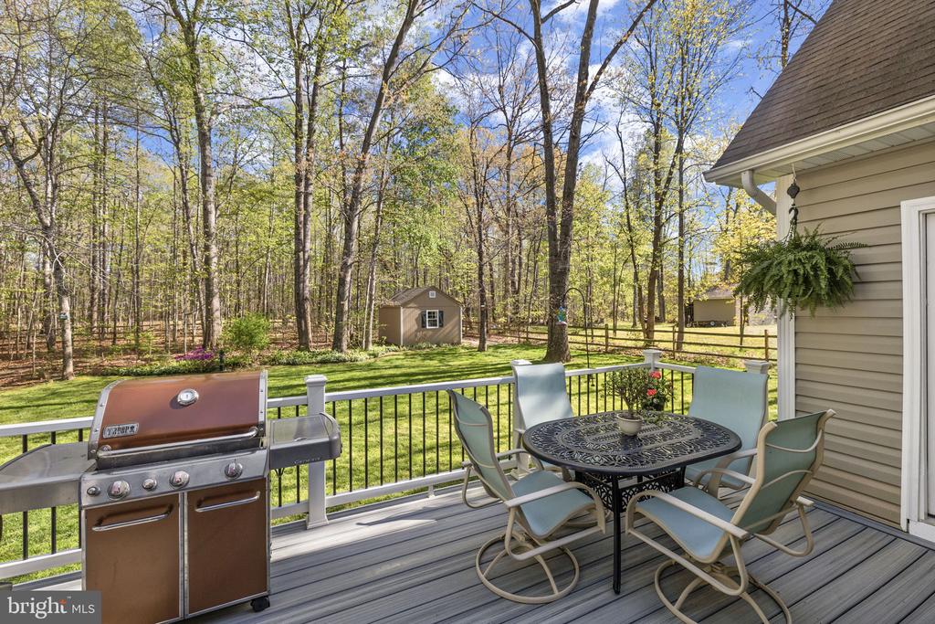 11113 PINEY FOREST DR, BUMPASS, Virginia 23024, 3 Bedrooms Bedrooms, ,2 BathroomsBathrooms,Residential,11113 PINEY FOREST DR,VASP2040840 MLS # VASP2040840