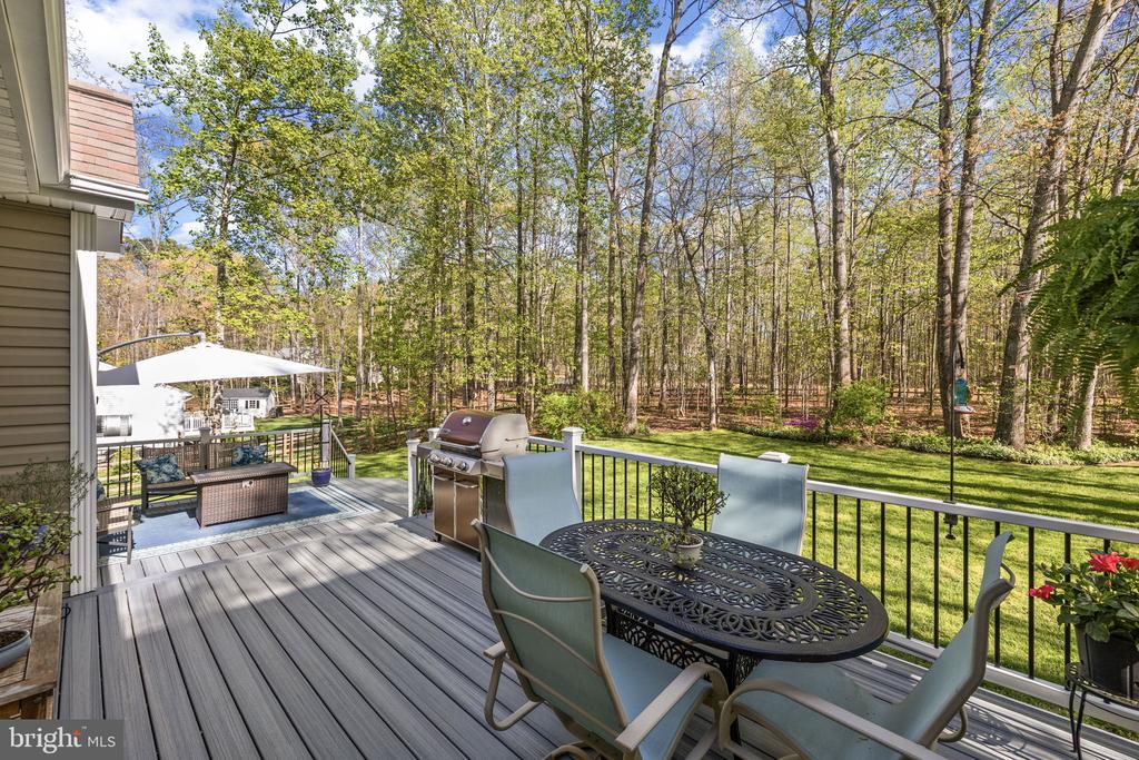 11113 PINEY FOREST DR, BUMPASS, Virginia 23024, 3 Bedrooms Bedrooms, ,2 BathroomsBathrooms,Residential,11113 PINEY FOREST DR,VASP2040840 MLS # VASP2040840