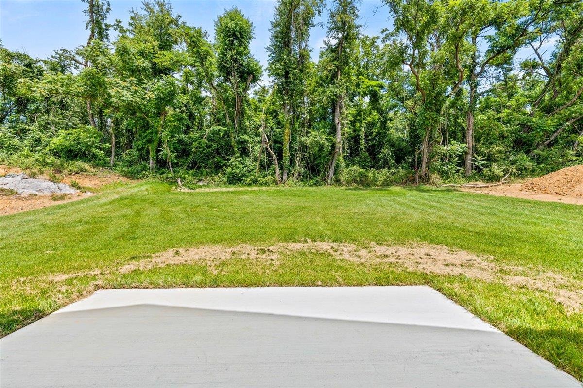 TBA LANGLEY DR, WAYNESBORO, Virginia 22980, 3 Bedrooms Bedrooms, ,2 BathroomsBathrooms,Residential,Queen,TBA LANGLEY DR,675794 MLS # 675794