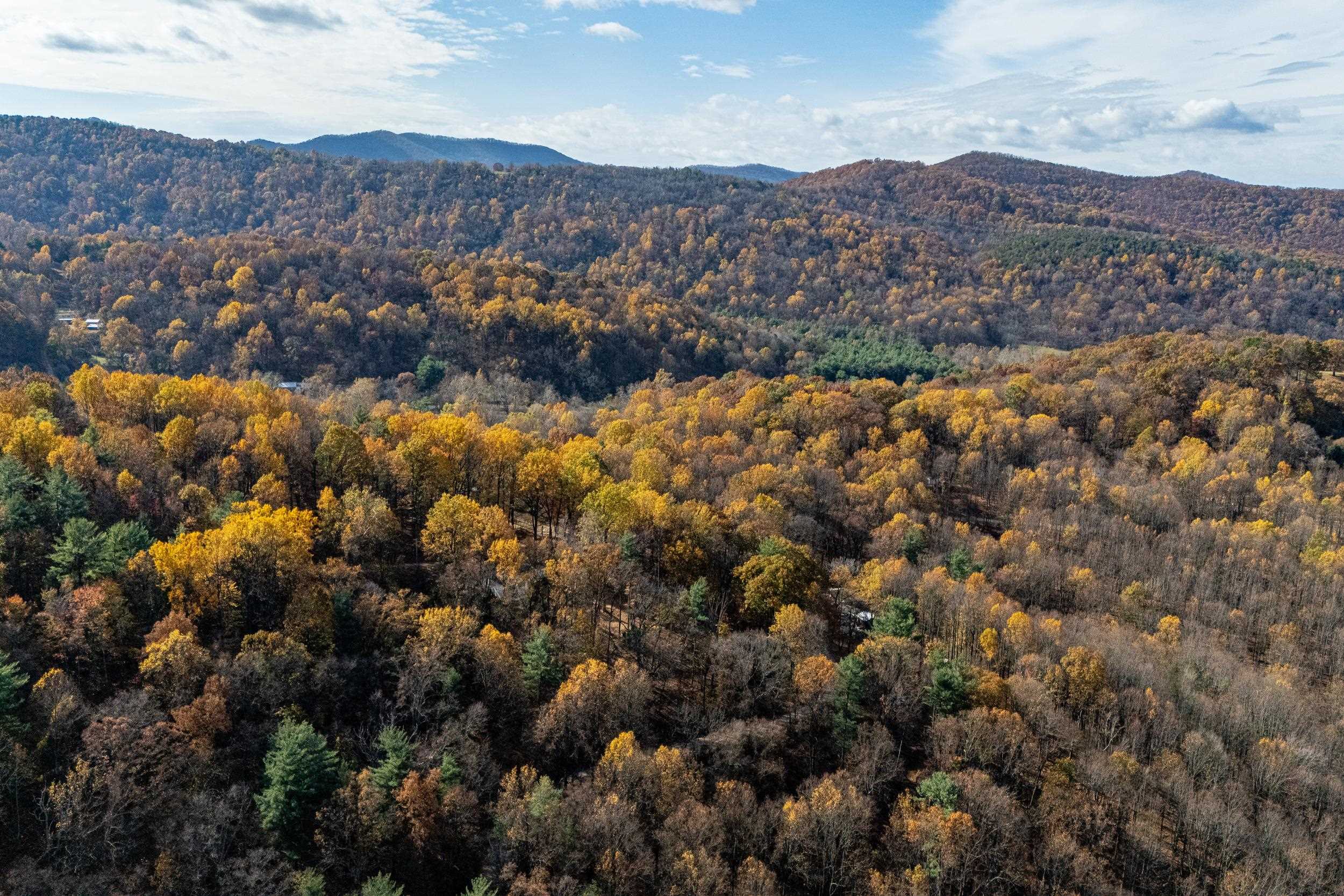 0 FRIENDLY LN, STANLEY, Virginia 22851, ,Land,0 FRIENDLY LN,675849 MLS # 675849