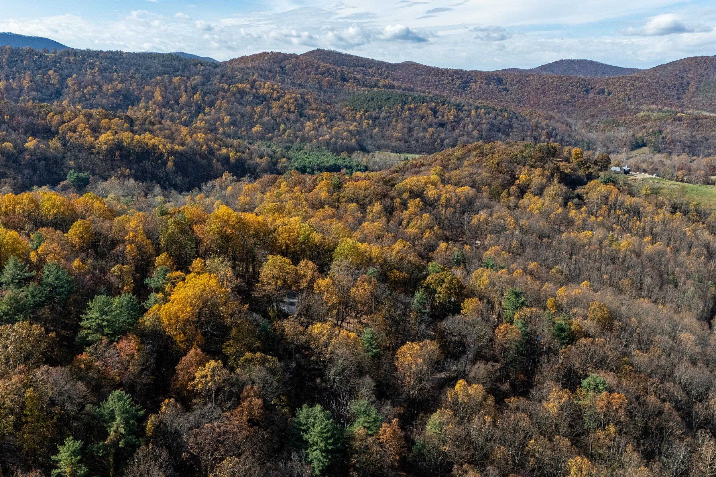 0 FRIENDLY LN, STANLEY, Virginia 22851, ,Land,0 FRIENDLY LN,675849 MLS # 675849