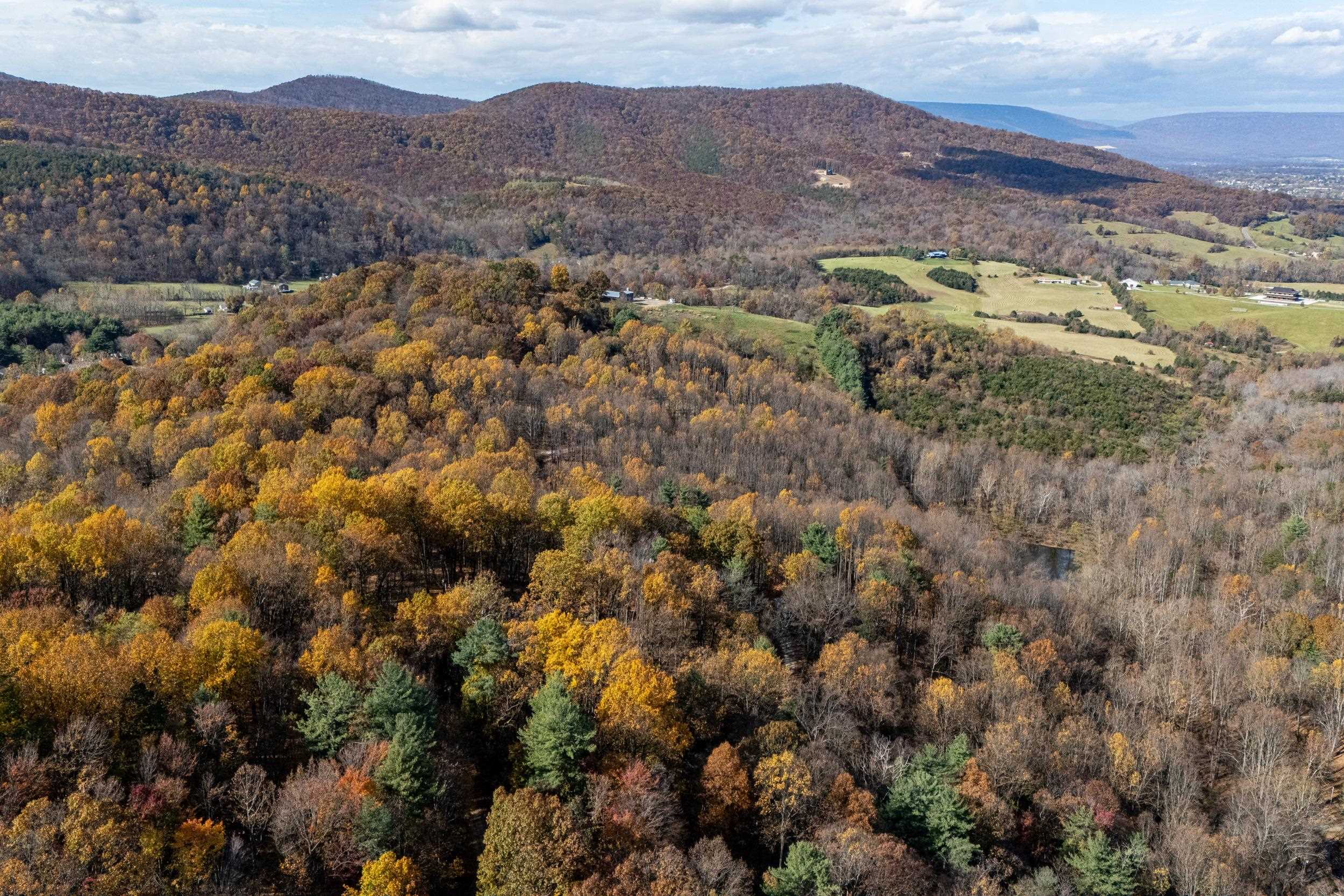 0 FRIENDLY LN, STANLEY, Virginia 22851, ,Land,0 FRIENDLY LN,675849 MLS # 675849