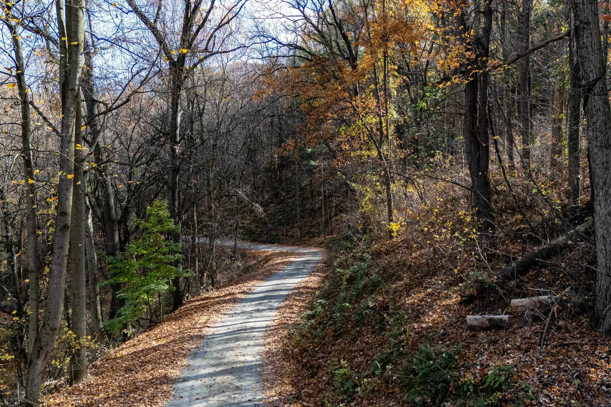 0 FRIENDLY LN, STANLEY, Virginia 22851, ,Land,0 FRIENDLY LN,675849 MLS # 675849