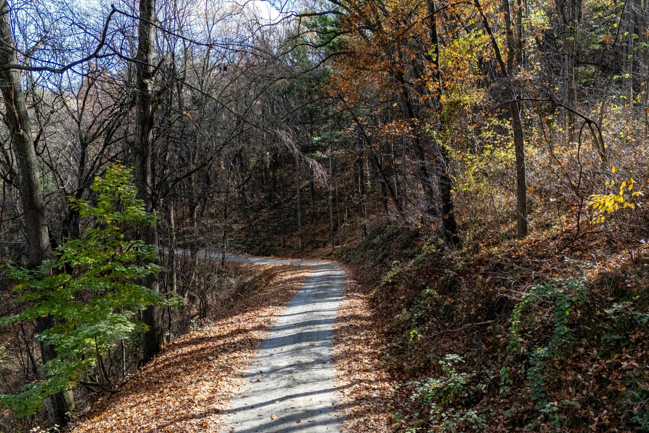 0 FRIENDLY LN, STANLEY, Virginia 22851, ,Land,0 FRIENDLY LN,675849 MLS # 675849