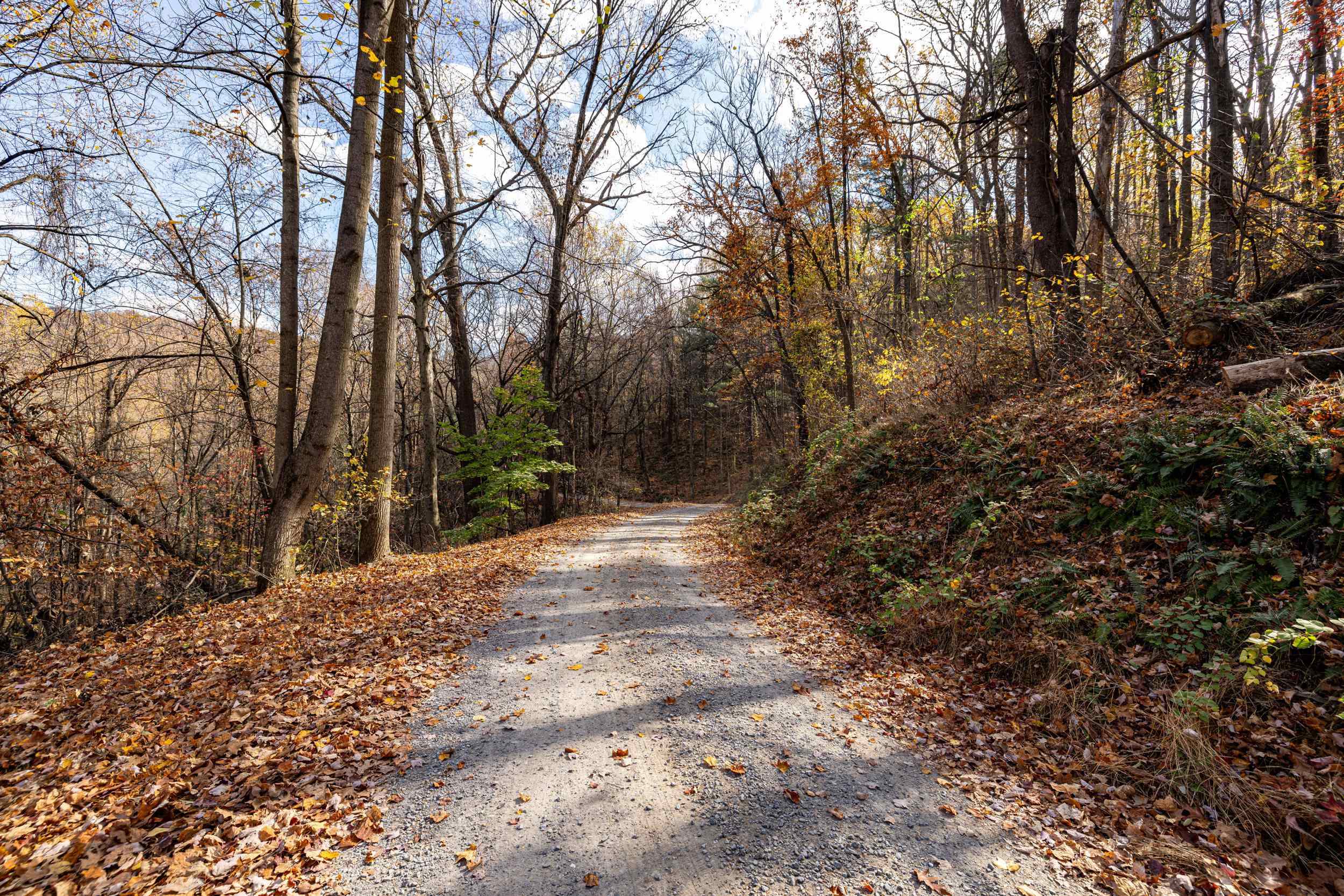 0 FRIENDLY LN, STANLEY, Virginia 22851, ,Land,0 FRIENDLY LN,675849 MLS # 675849