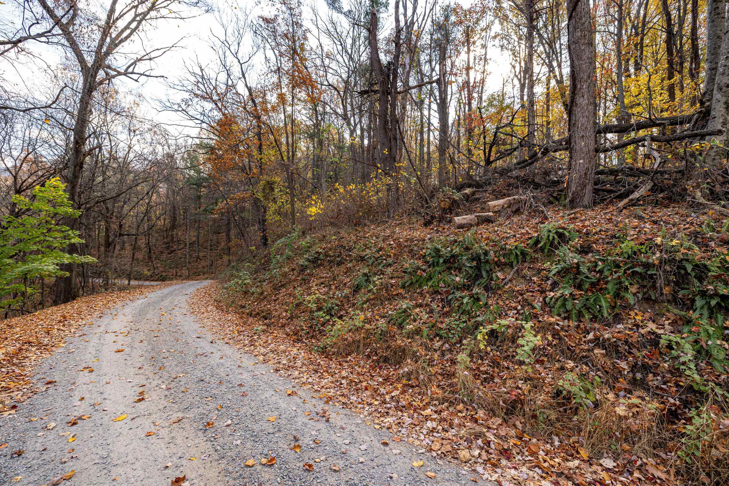 0 FRIENDLY LN, STANLEY, Virginia 22851, ,Land,0 FRIENDLY LN,675849 MLS # 675849