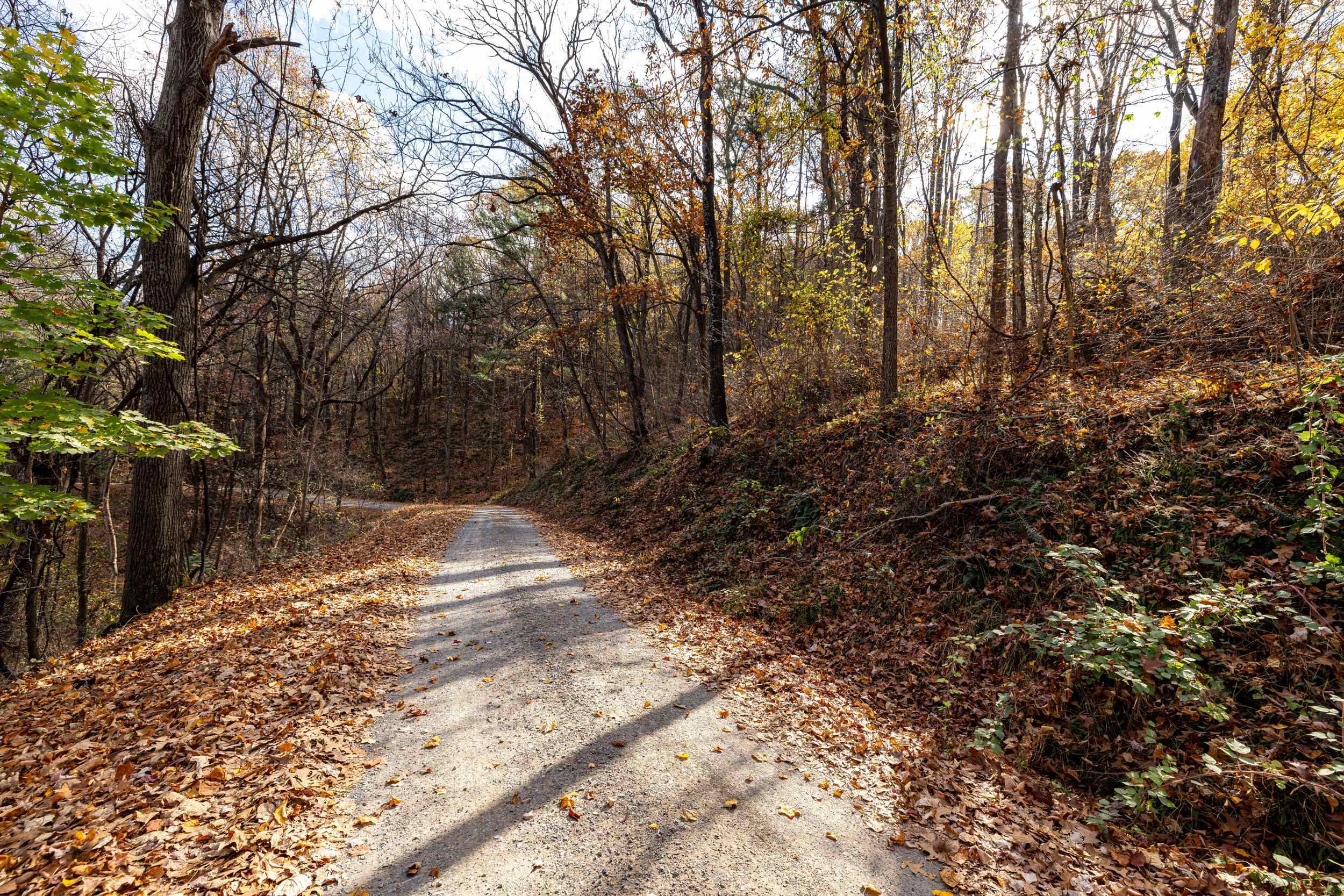 0 FRIENDLY LN, STANLEY, Virginia 22851, ,Land,0 FRIENDLY LN,675849 MLS # 675849