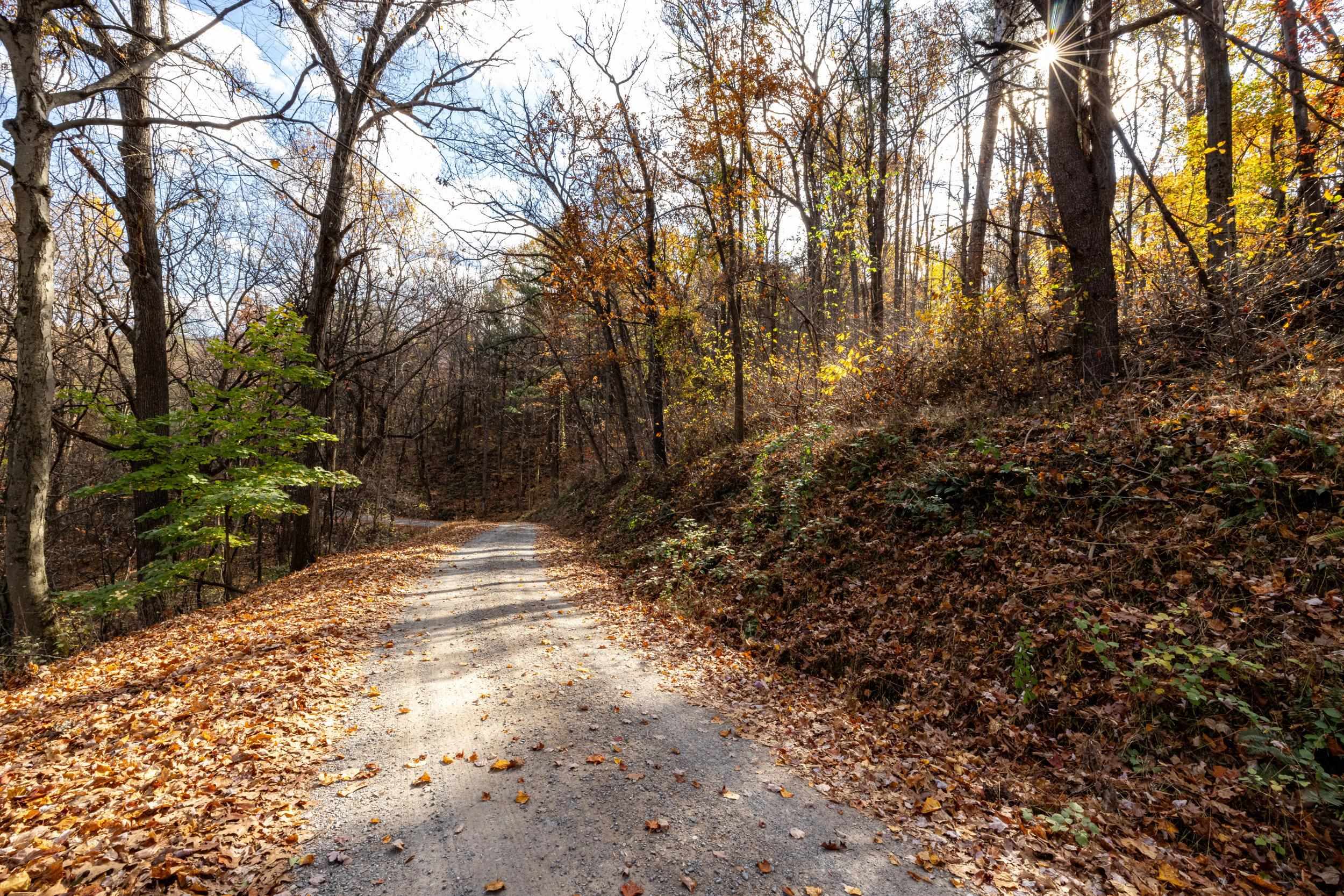 0 FRIENDLY LN, STANLEY, Virginia 22851, ,Land,0 FRIENDLY LN,675849 MLS # 675849