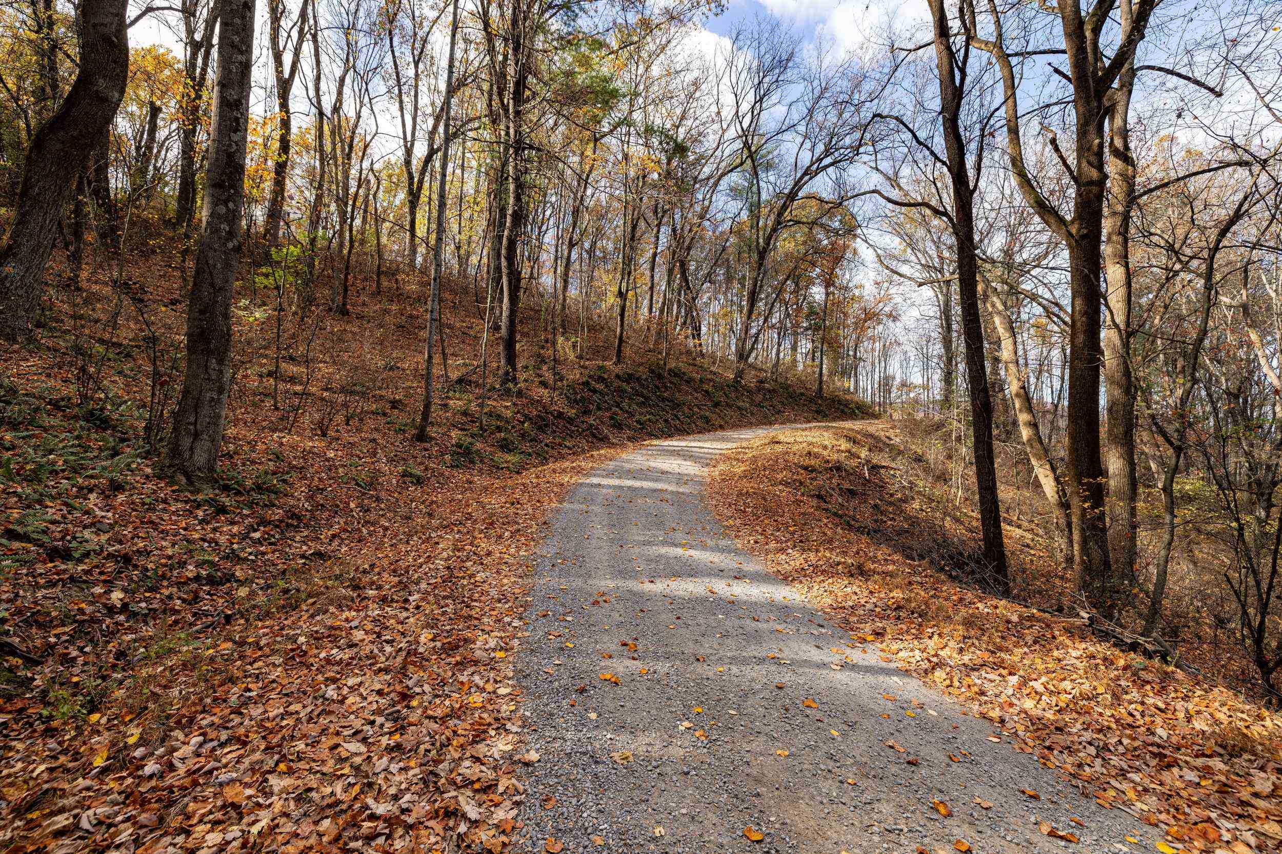 0 FRIENDLY LN, STANLEY, Virginia 22851, ,Land,0 FRIENDLY LN,675849 MLS # 675849