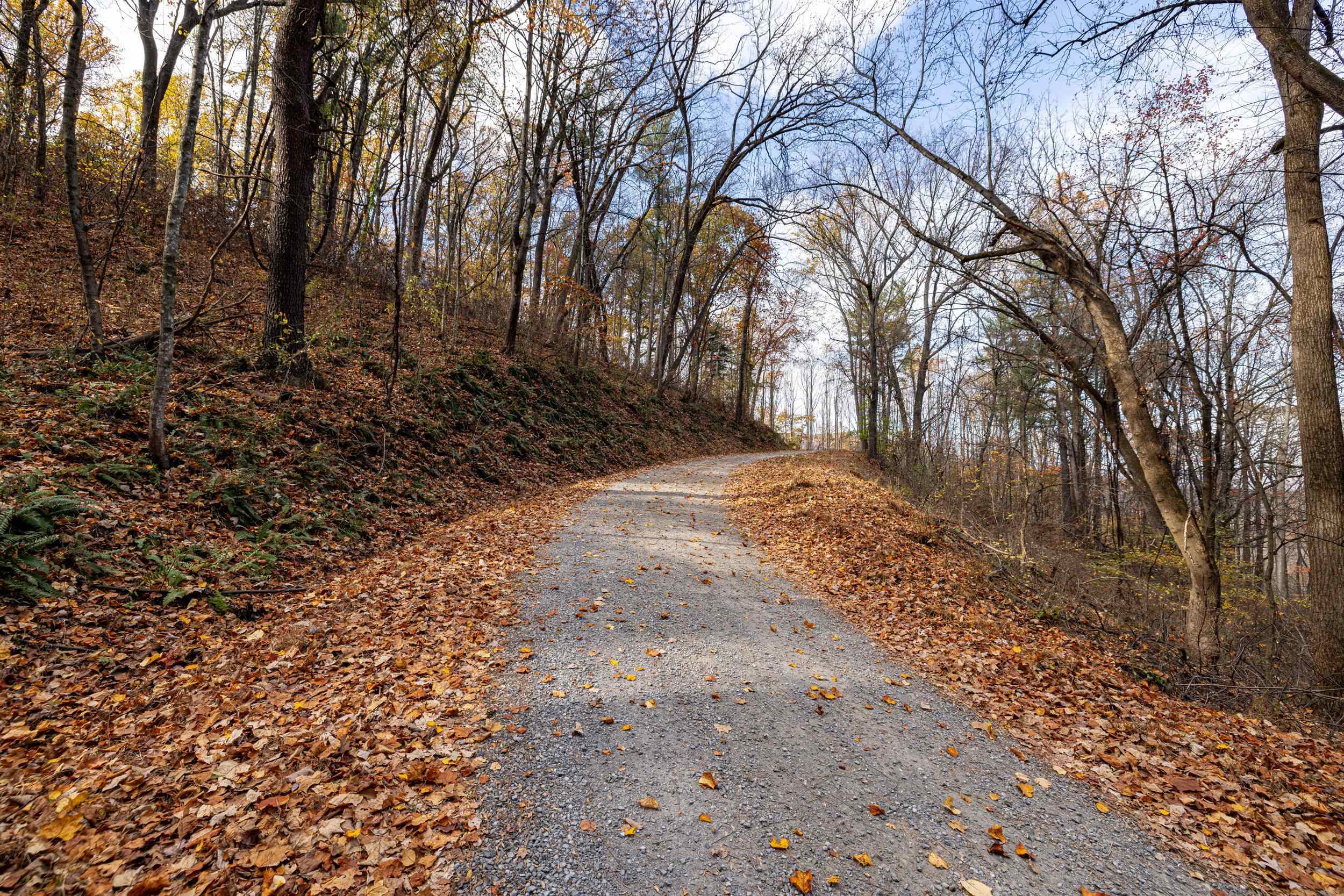 0 FRIENDLY LN, STANLEY, Virginia 22851, ,Land,0 FRIENDLY LN,675849 MLS # 675849