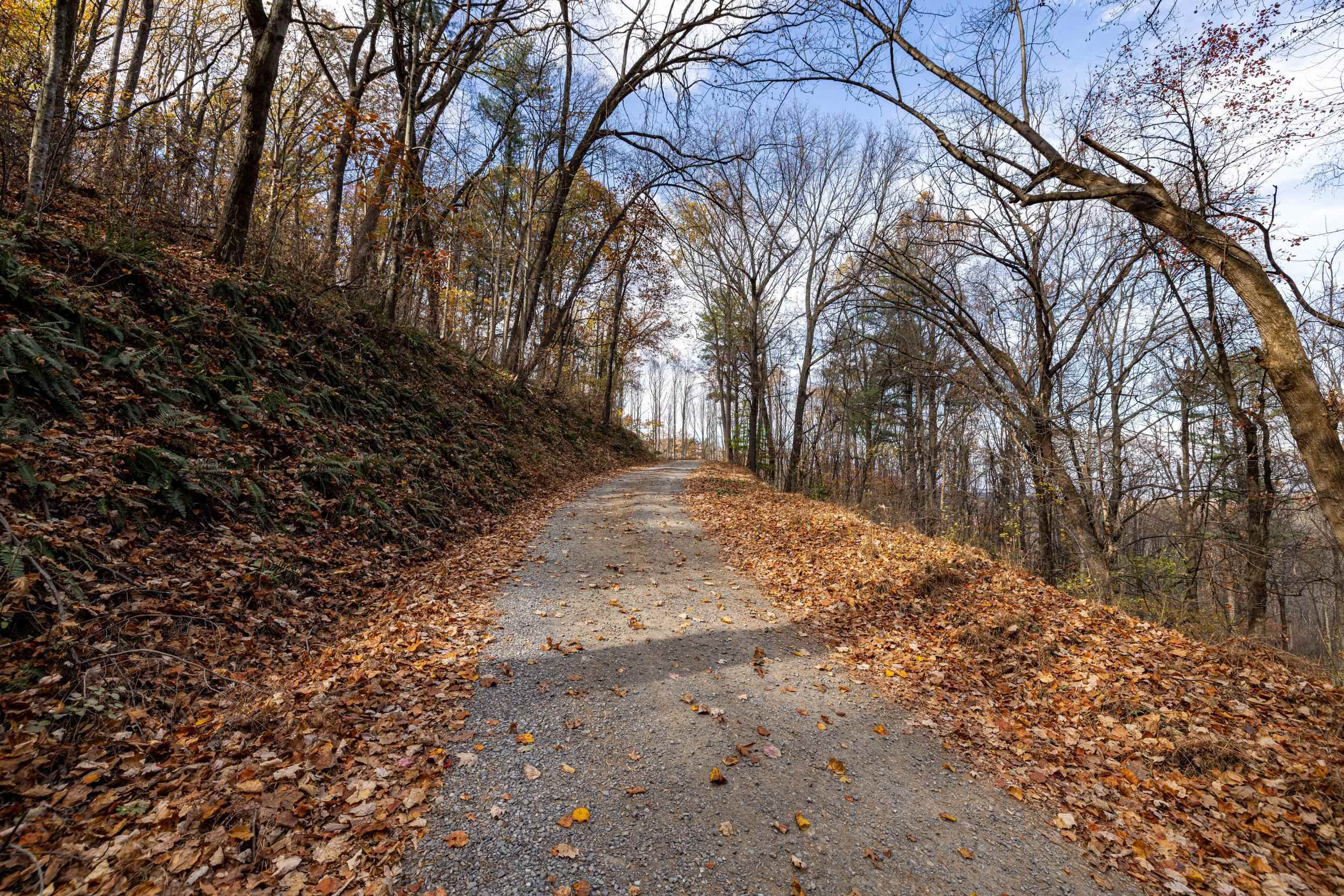 0 FRIENDLY LN, STANLEY, Virginia 22851, ,Land,0 FRIENDLY LN,675849 MLS # 675849