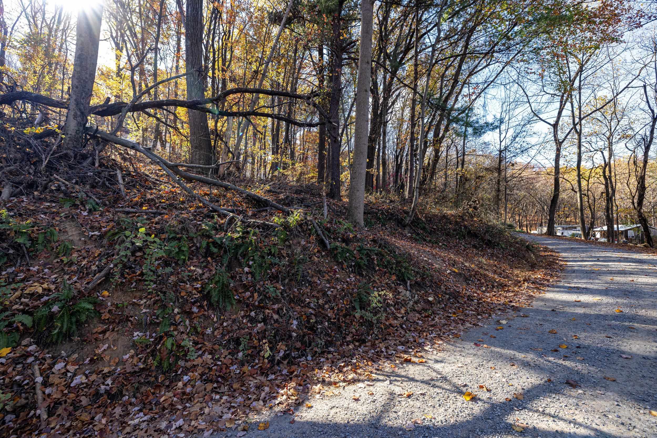 0 FRIENDLY LN, STANLEY, Virginia 22851, ,Land,0 FRIENDLY LN,675849 MLS # 675849