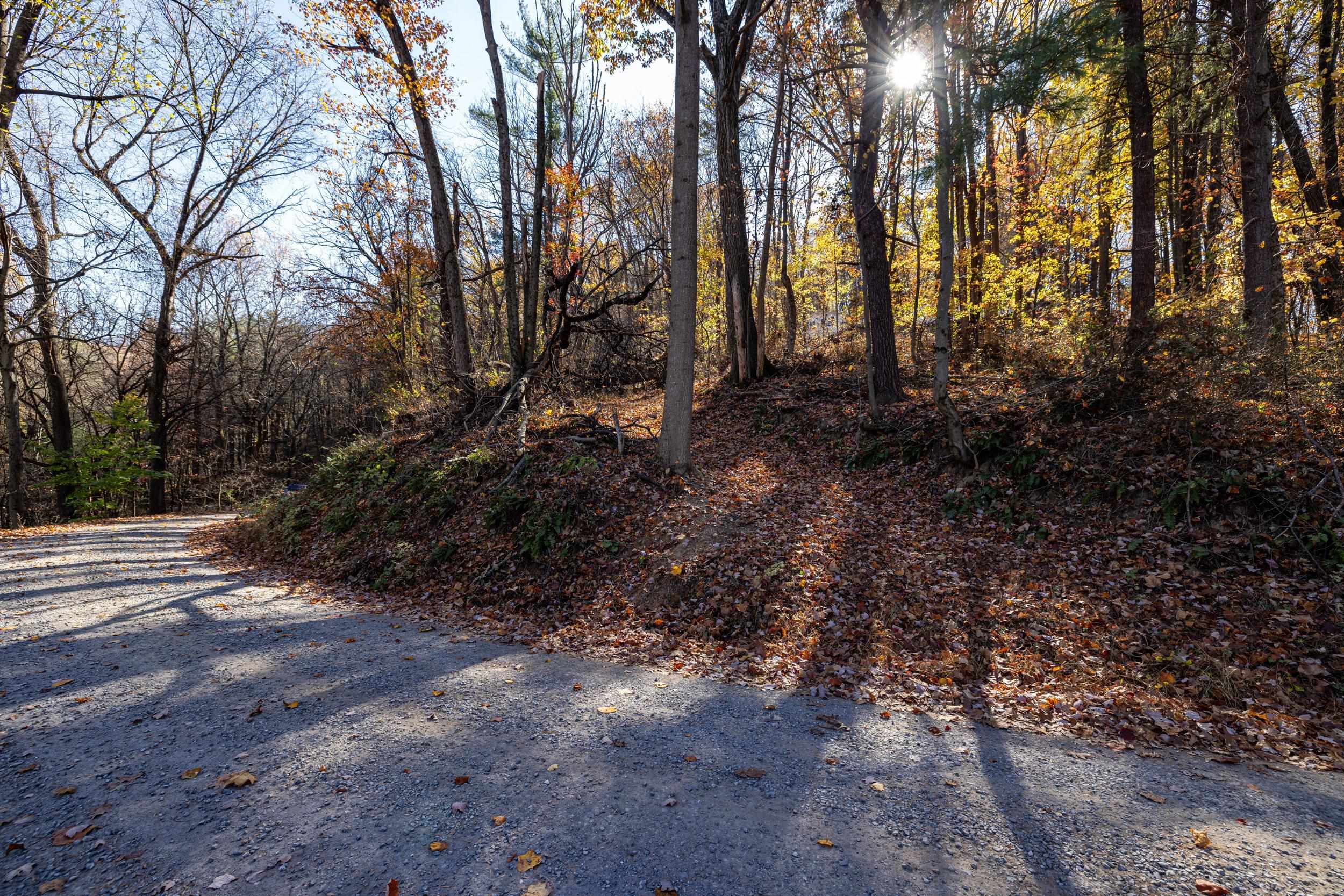 0 FRIENDLY LN, STANLEY, Virginia 22851, ,Land,0 FRIENDLY LN,675849 MLS # 675849