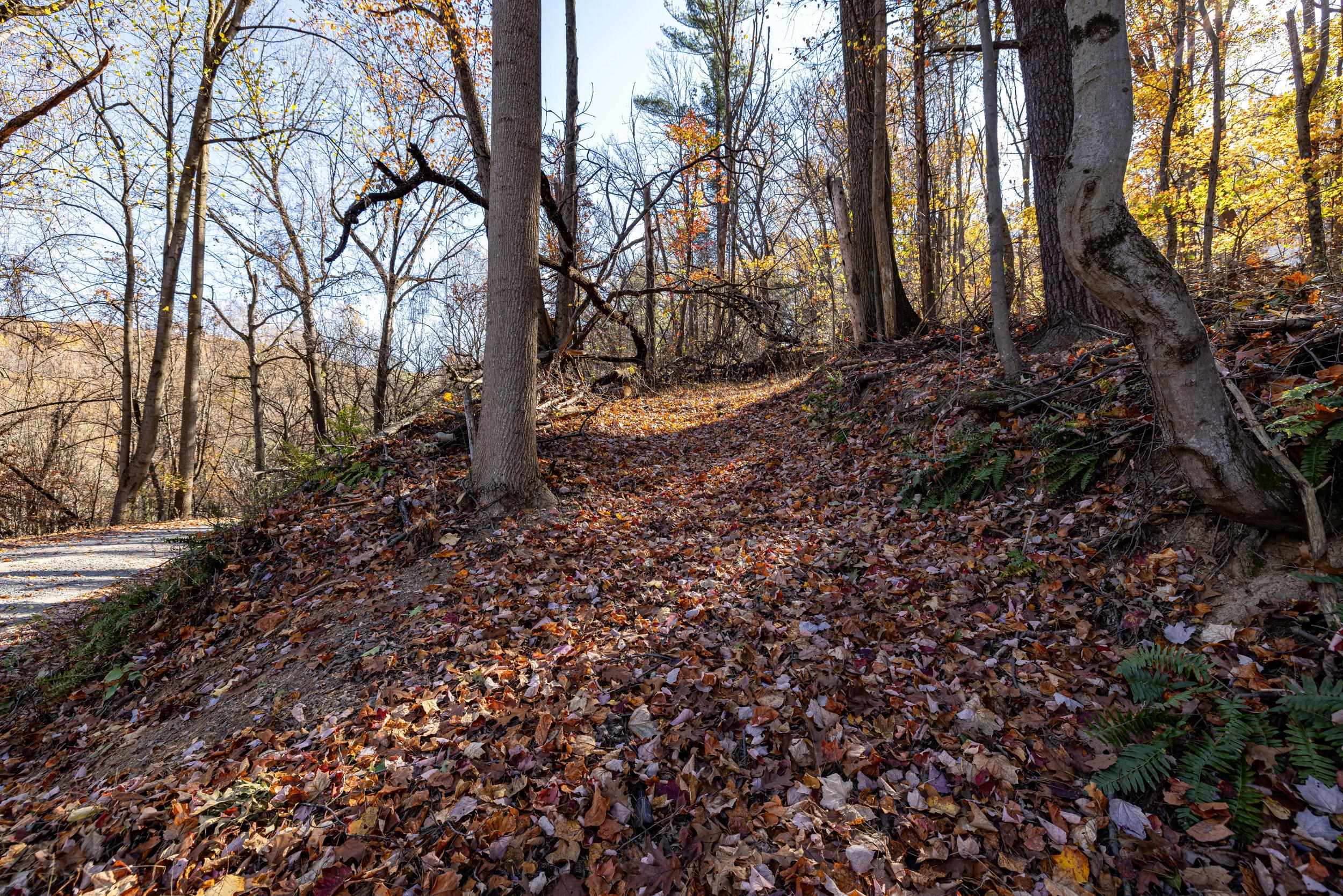 0 FRIENDLY LN, STANLEY, Virginia 22851, ,Land,0 FRIENDLY LN,675849 MLS # 675849