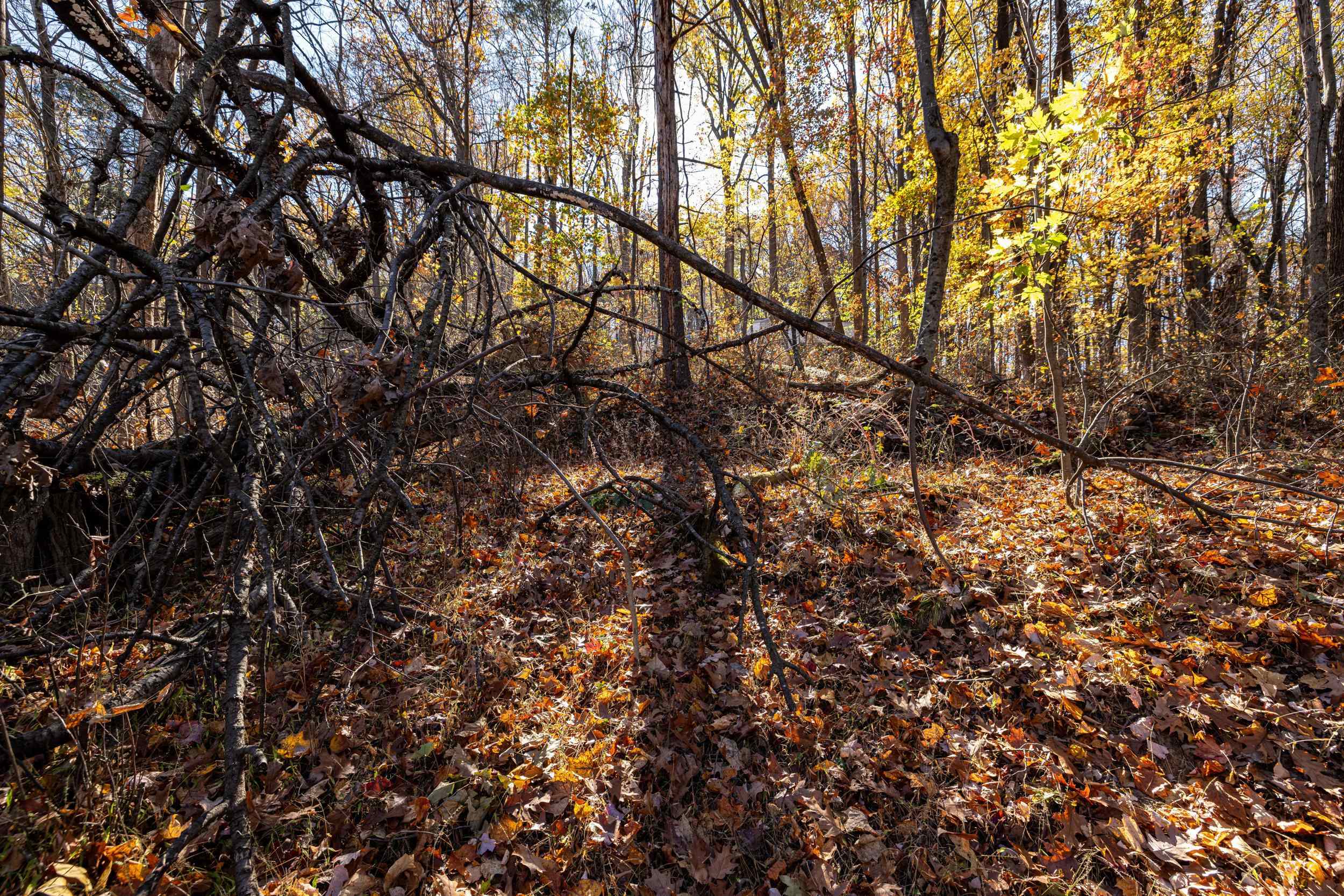 0 FRIENDLY LN, STANLEY, Virginia 22851, ,Land,0 FRIENDLY LN,675849 MLS # 675849