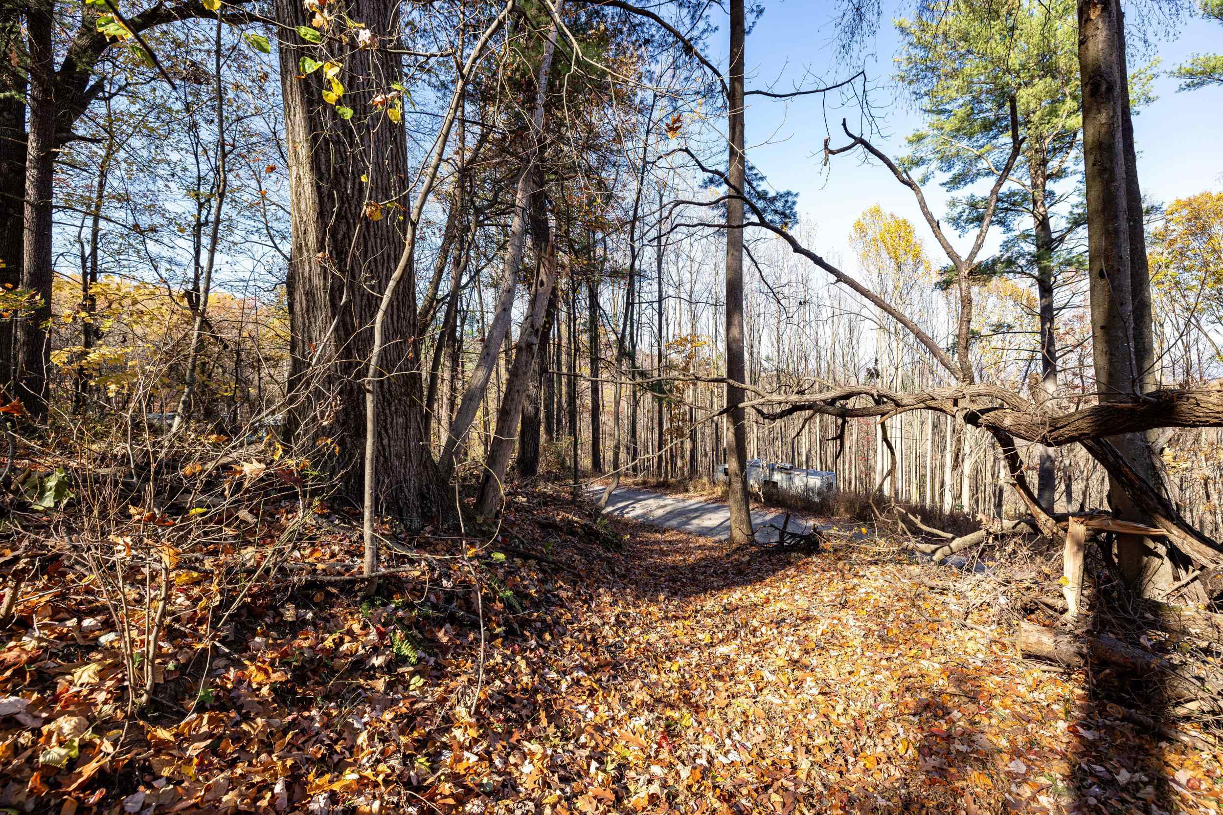 0 FRIENDLY LN, STANLEY, Virginia 22851, ,Land,0 FRIENDLY LN,675849 MLS # 675849