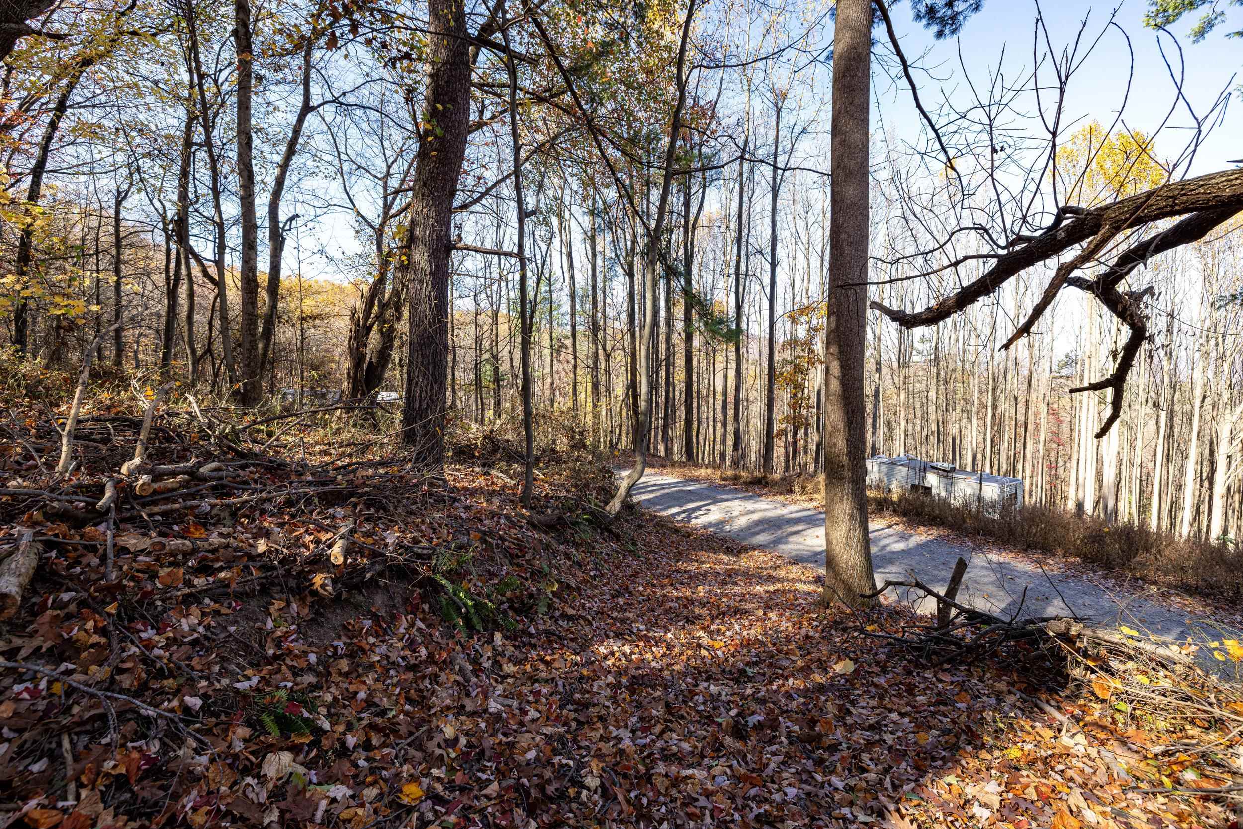 0 FRIENDLY LN, STANLEY, Virginia 22851, ,Land,0 FRIENDLY LN,675849 MLS # 675849