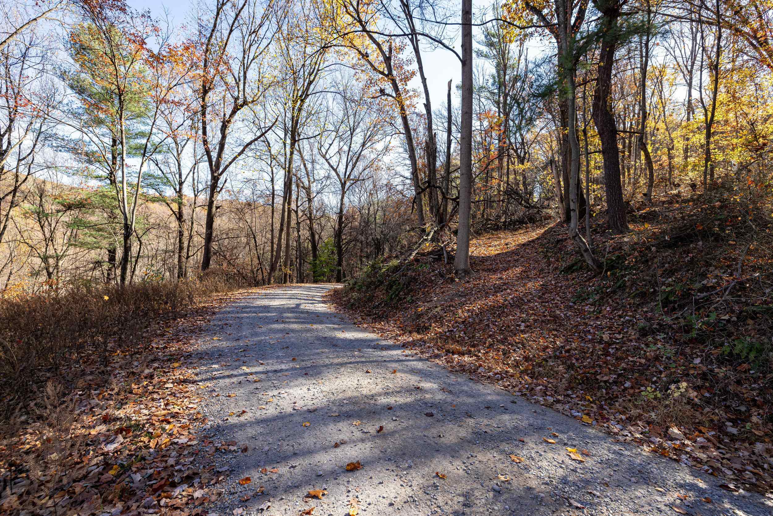 0 FRIENDLY LN, STANLEY, Virginia 22851, ,Land,0 FRIENDLY LN,675849 MLS # 675849